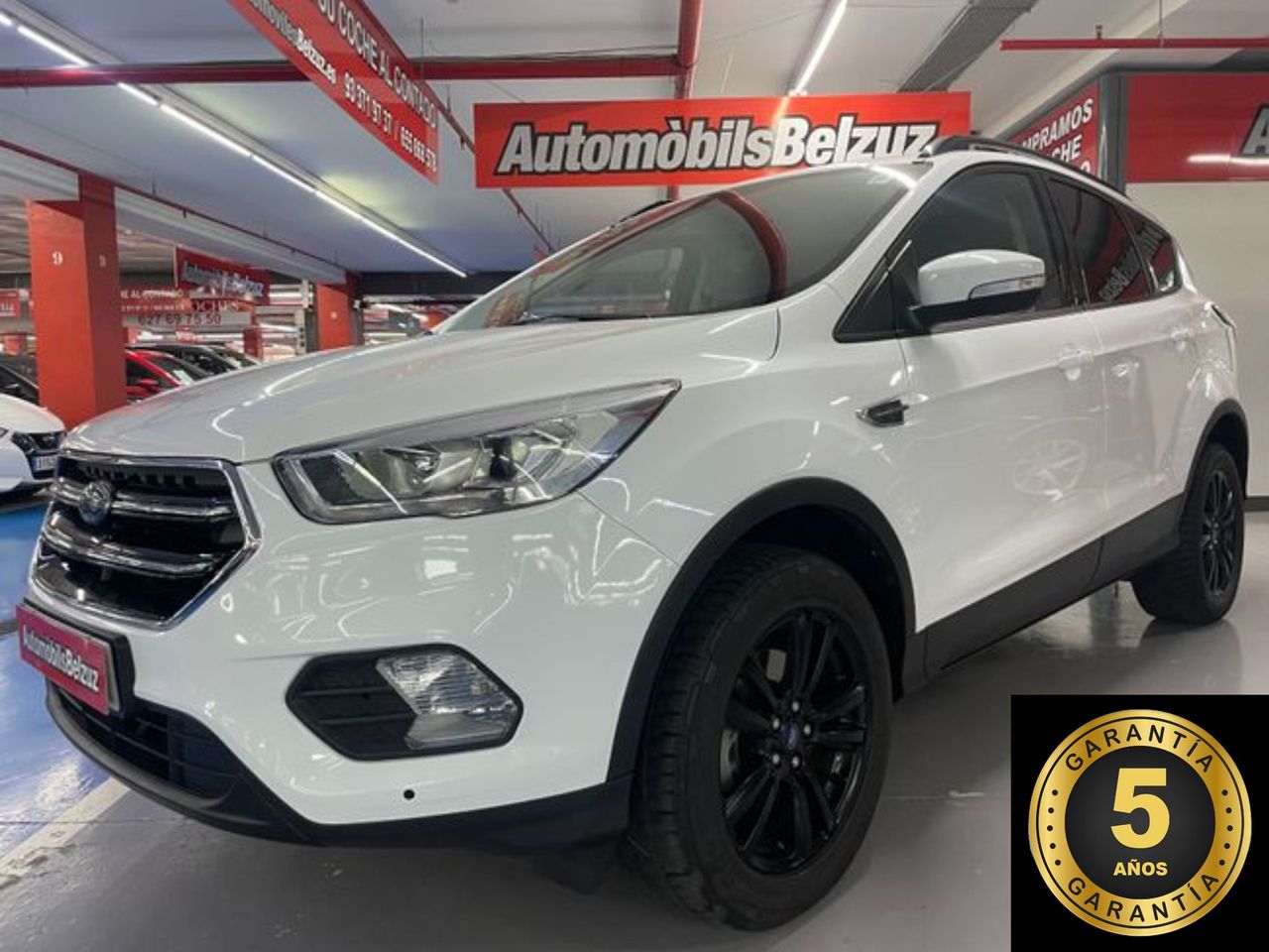 Foto Ford Kuga 1