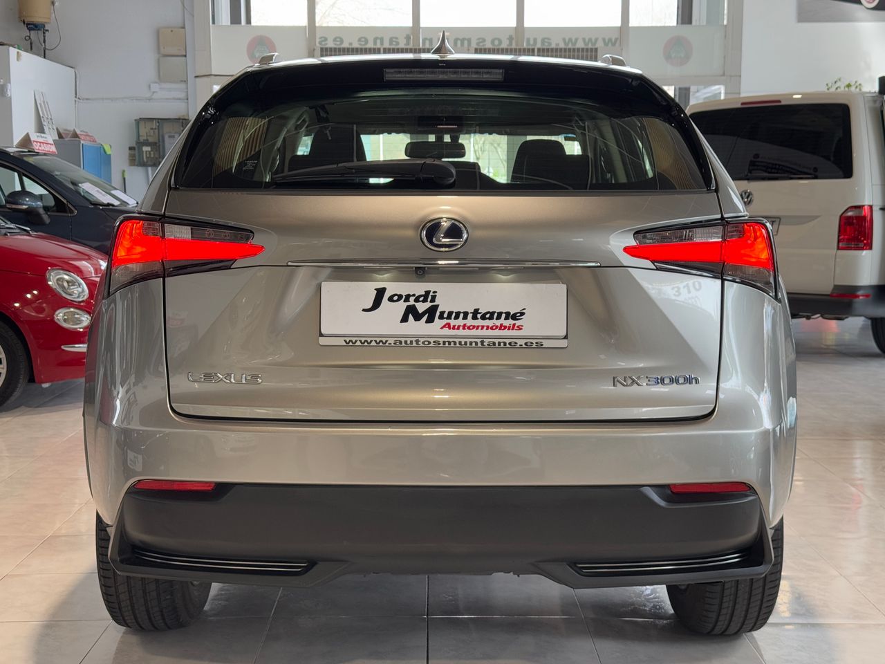 Foto Lexus NX 3