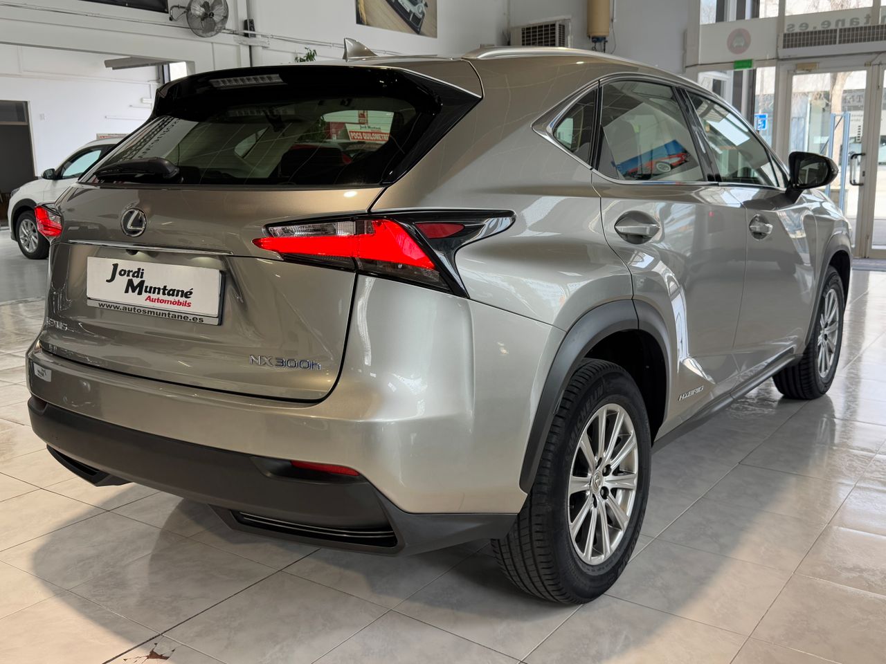 Foto Lexus NX 4