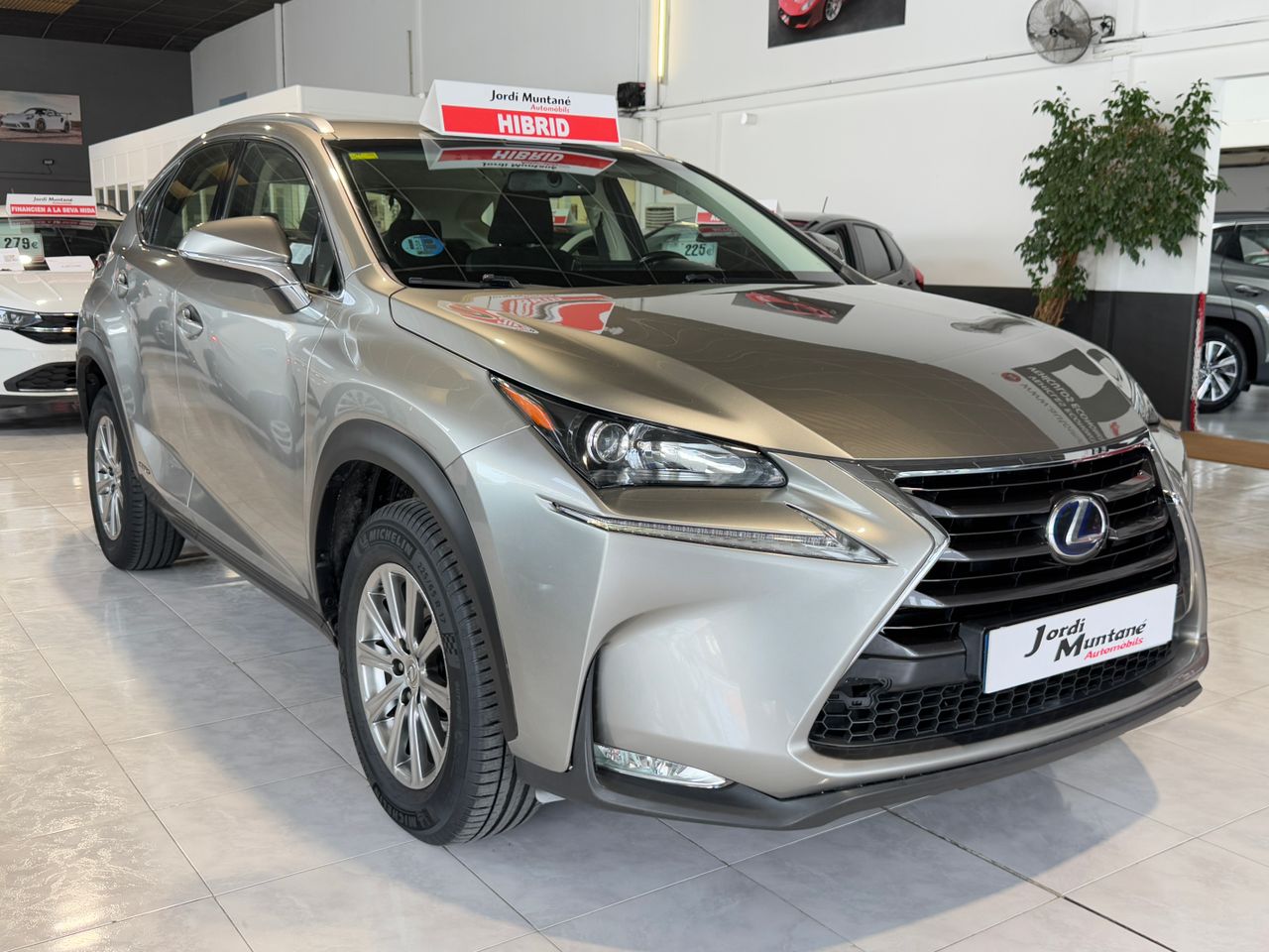 Foto Lexus NX 5