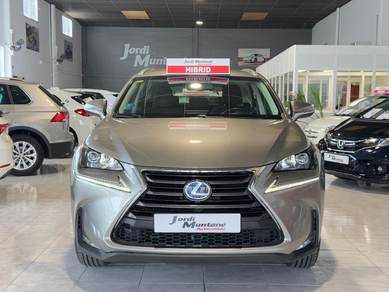 Foto Lexus NX 6