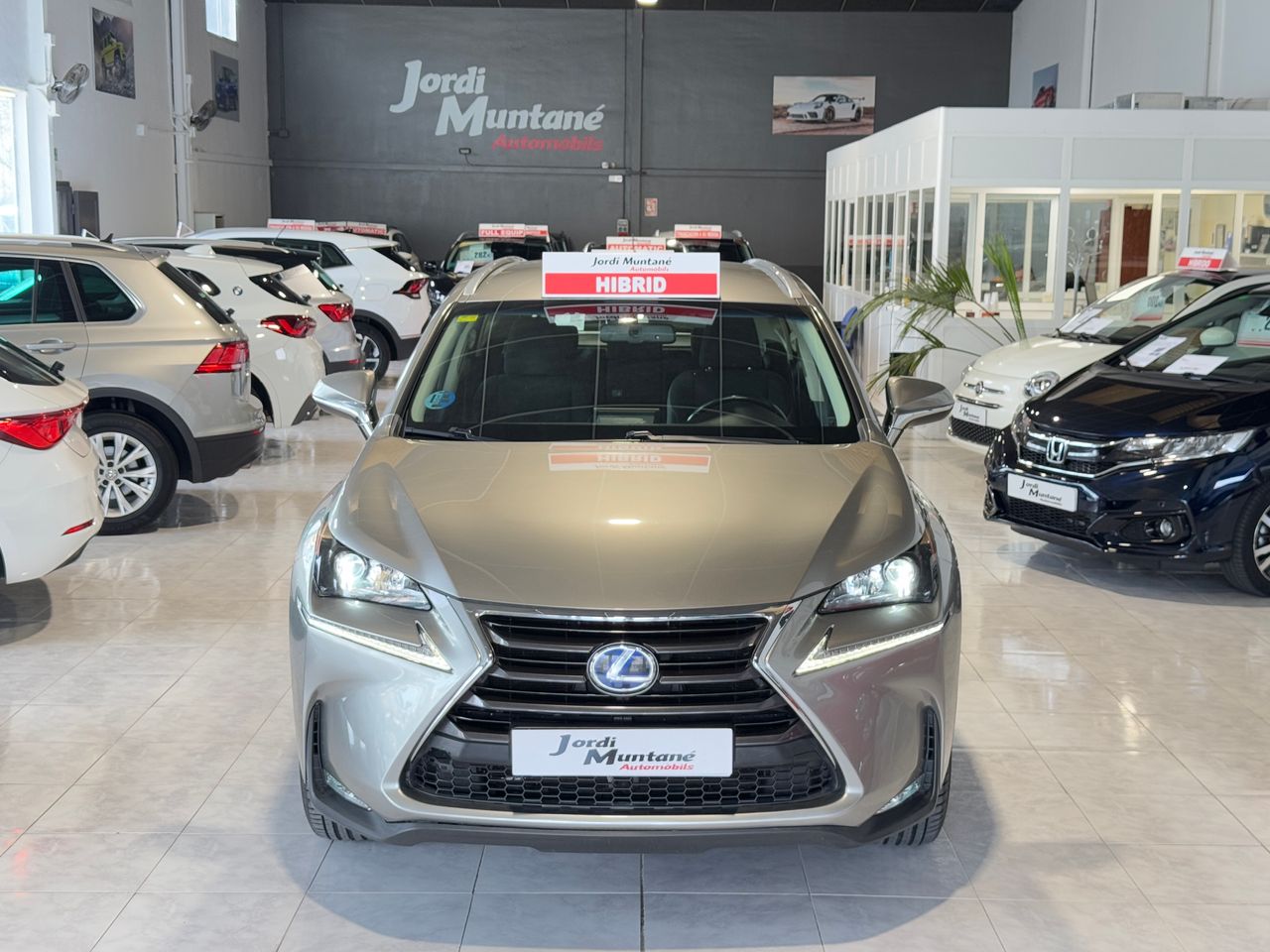 Foto Lexus NX 36