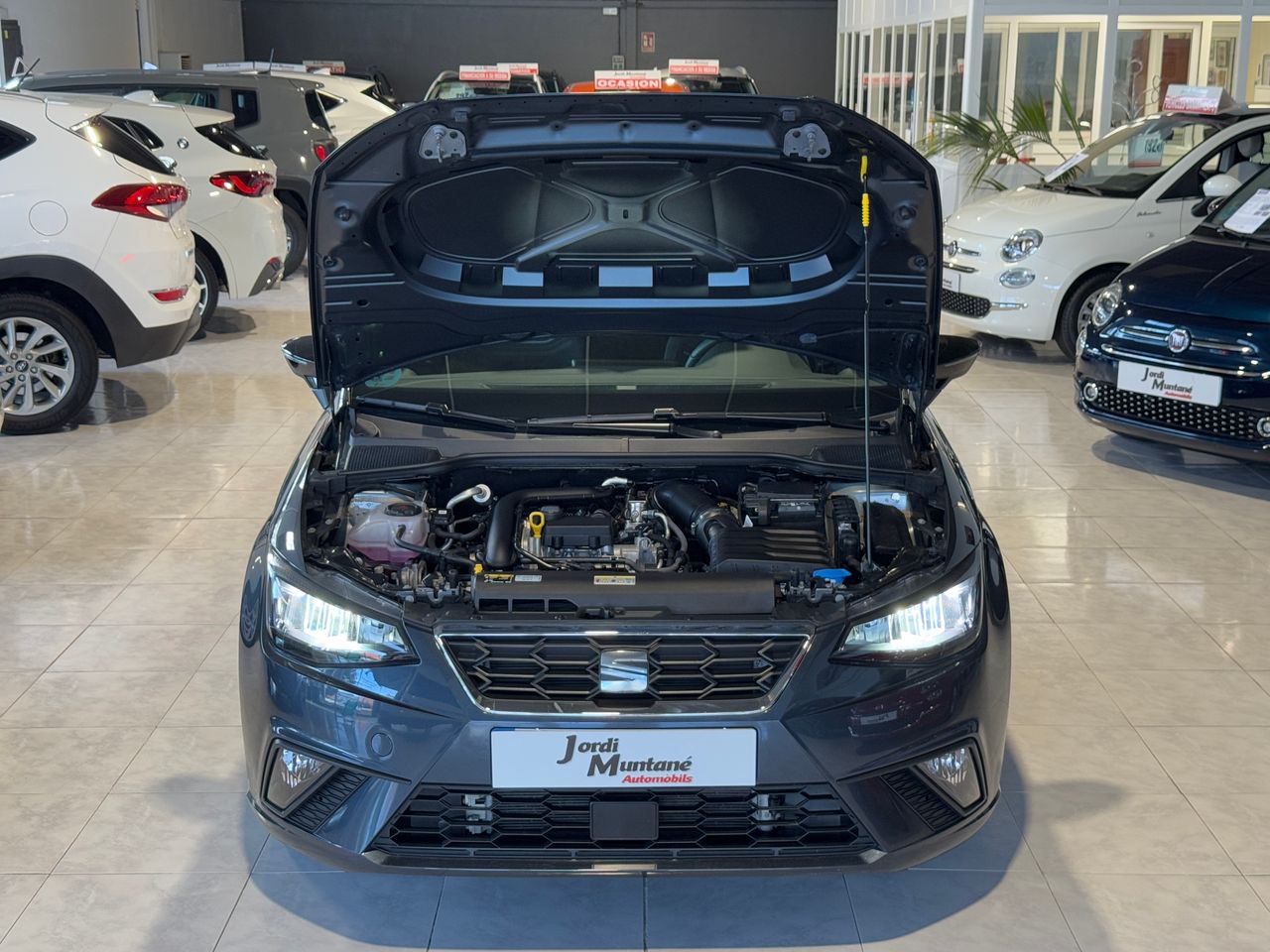 Foto Seat Ibiza 33