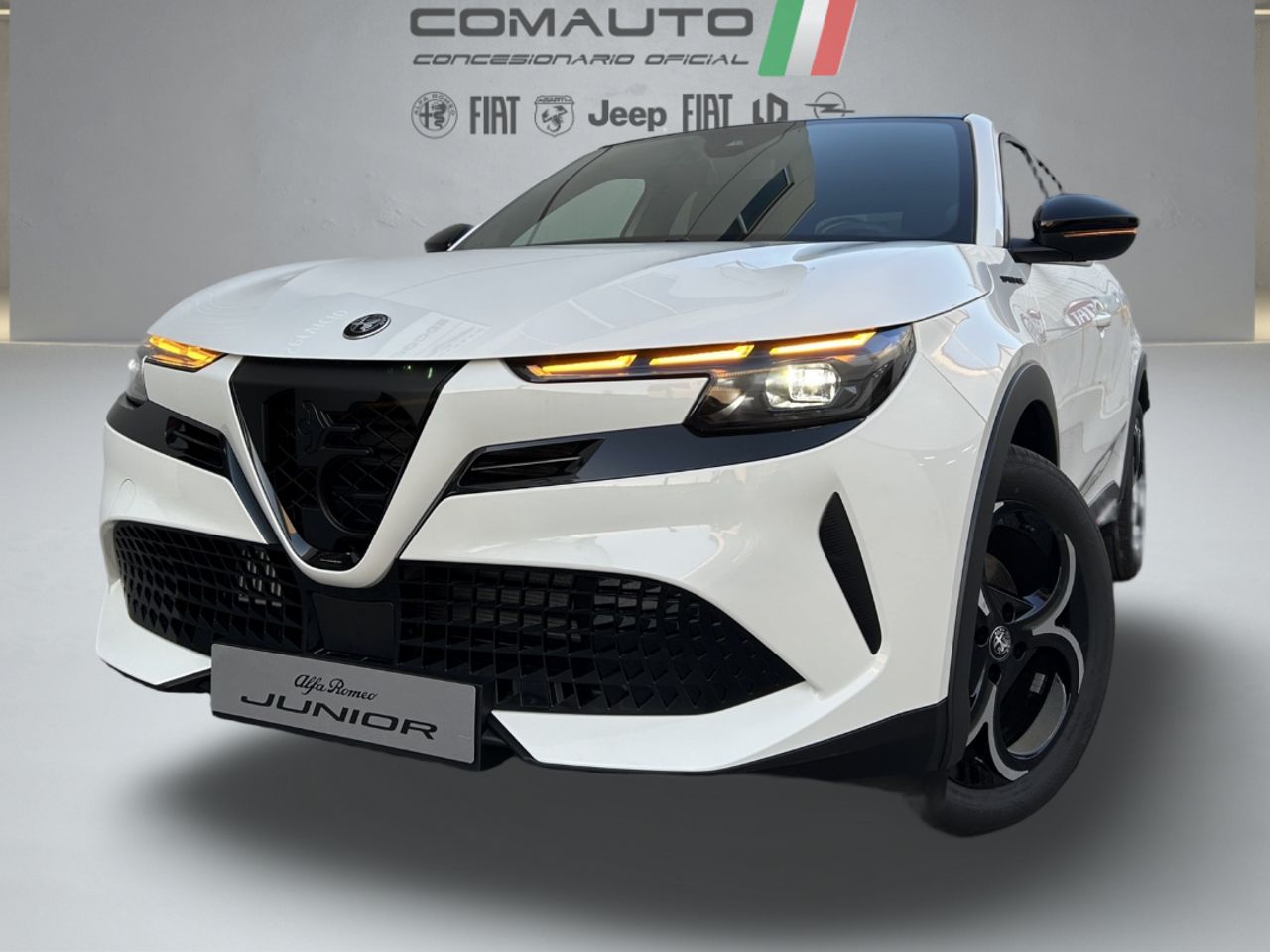 Foto Alfa Romeo Junior 33