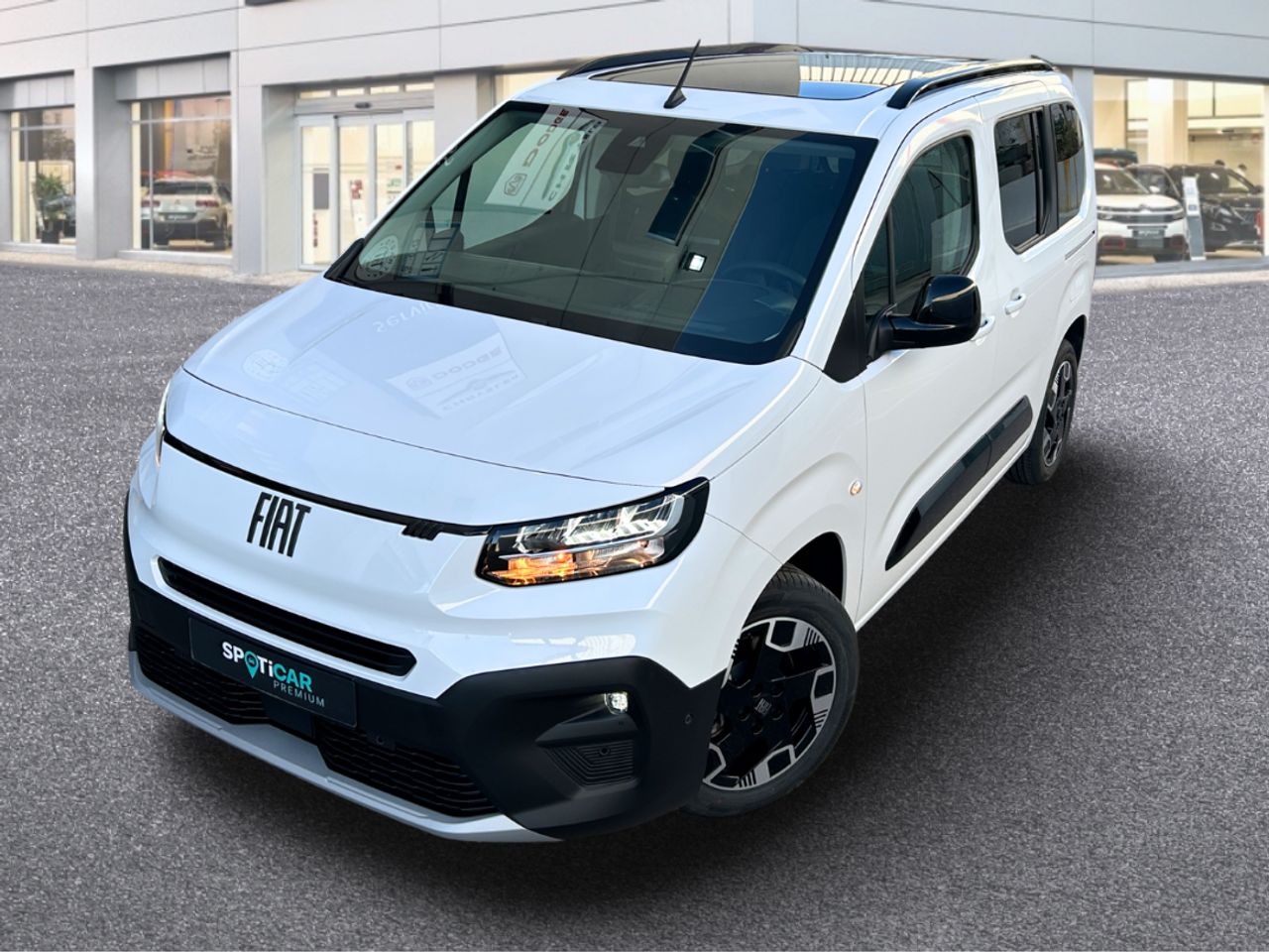 Foto Fiat Doblo 38
