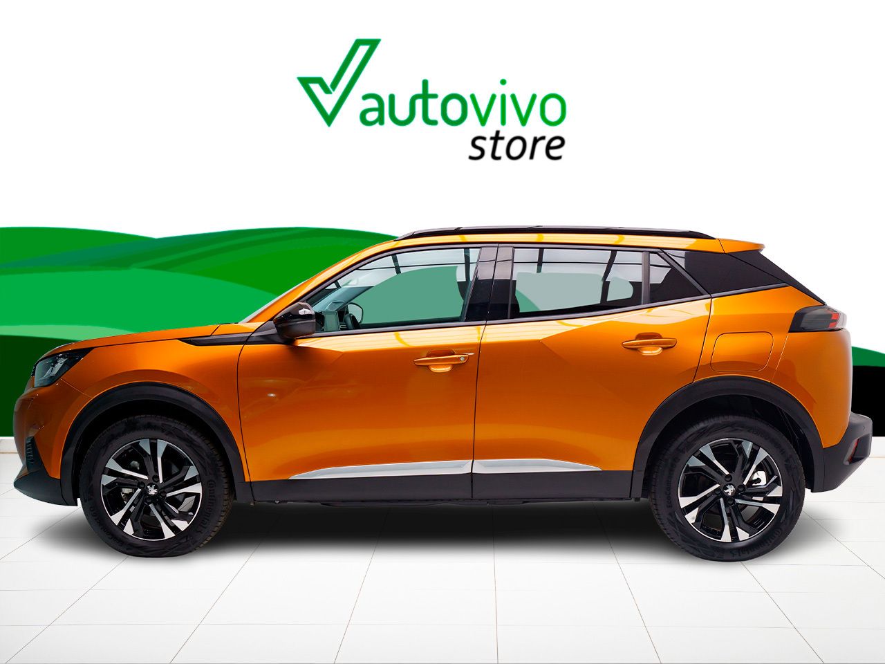 Foto Peugeot 2008 3