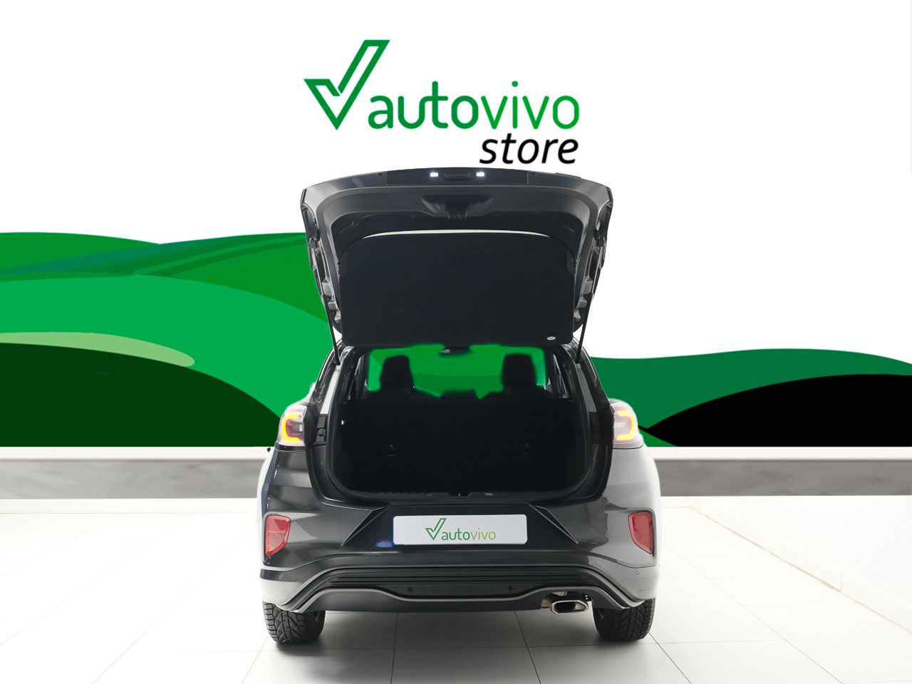 Foto Ford Puma 14