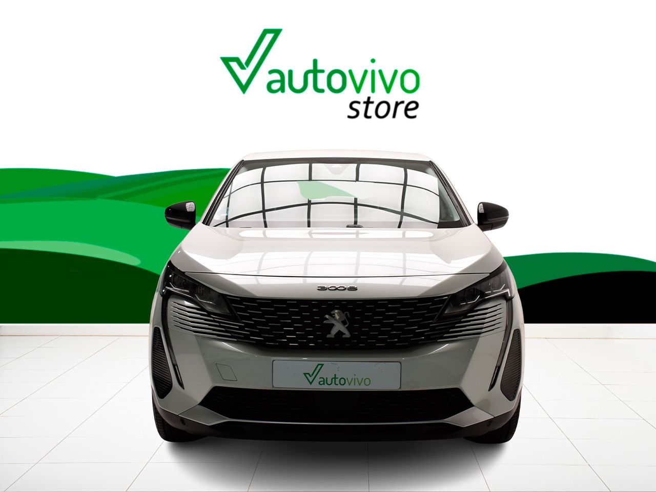 Foto Peugeot 3008 4