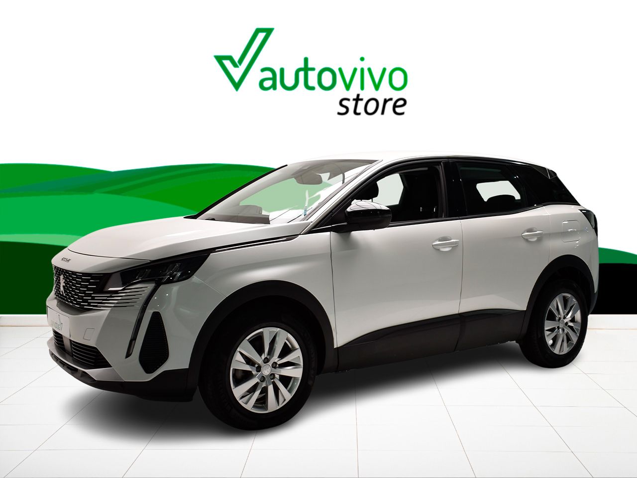 Foto Peugeot 3008 11