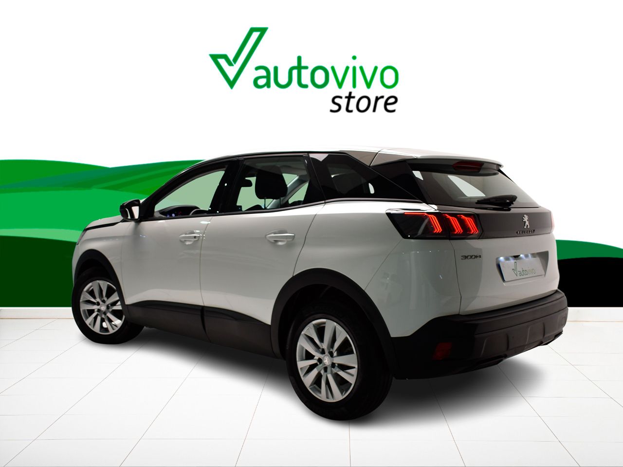 Foto Peugeot 3008 12