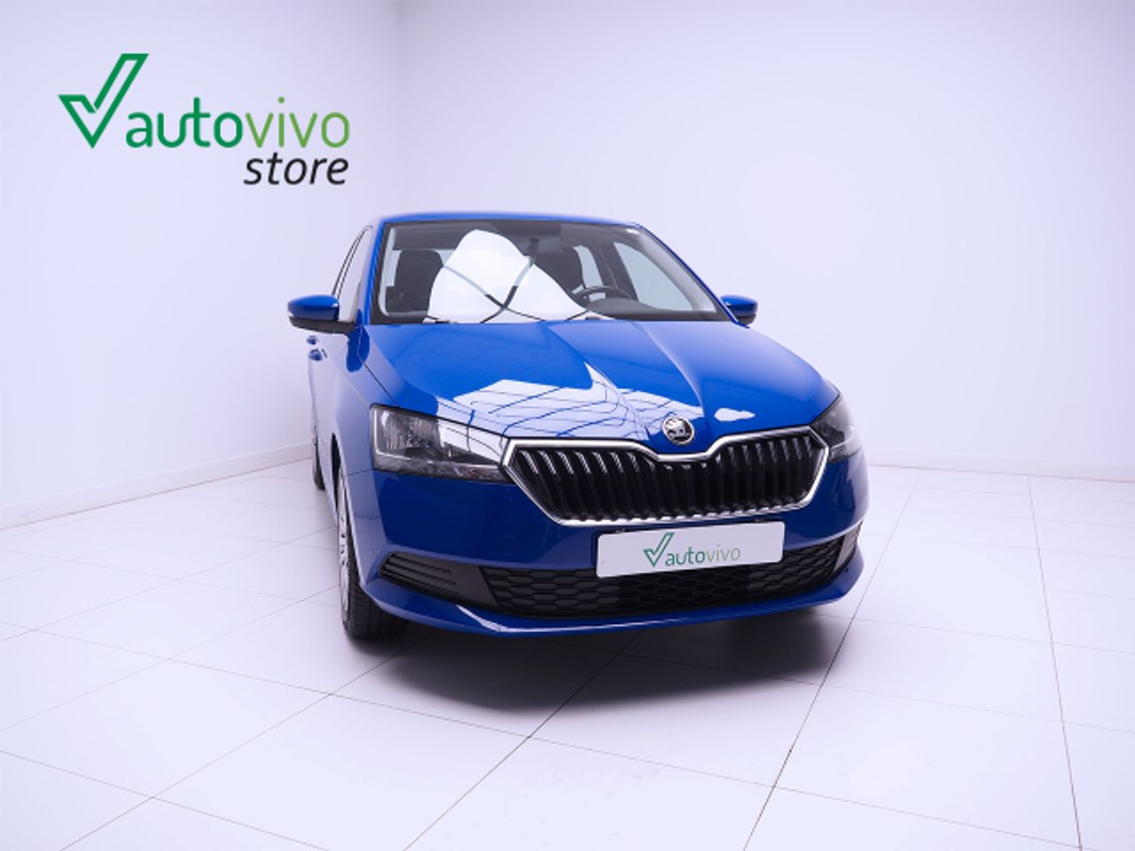 Foto Skoda Fabia 1