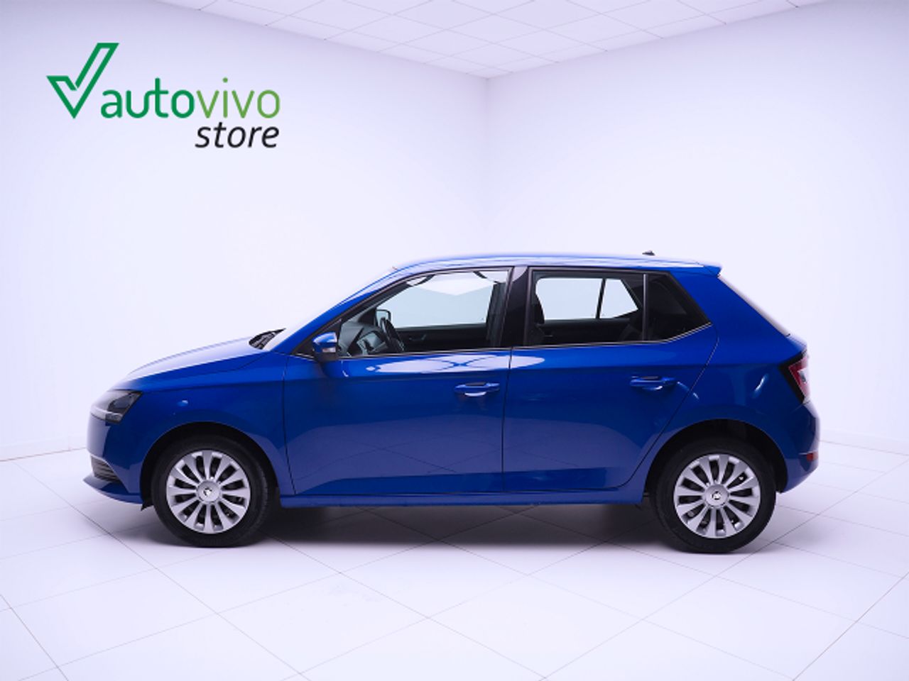 Foto Skoda Fabia 18