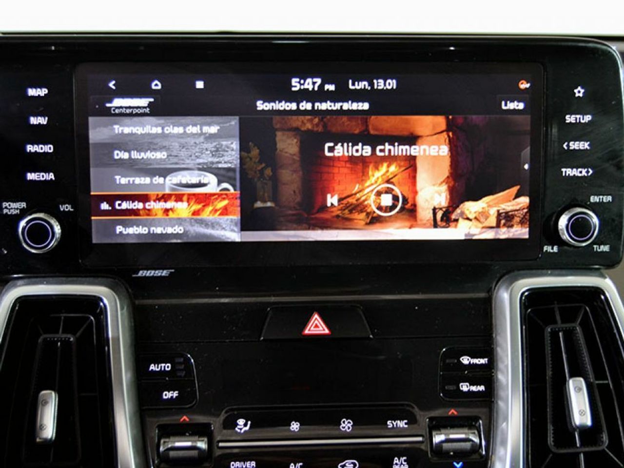 Foto Kia Sorento 35