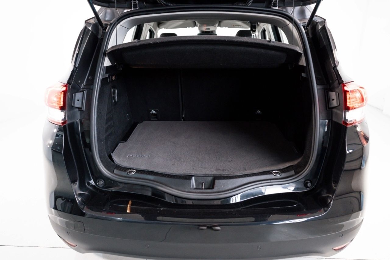 Foto Renault Scénic 29