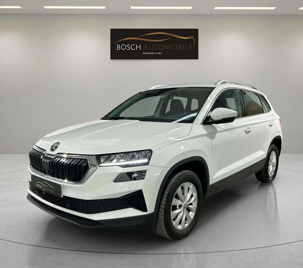 Foto Skoda Karoq 1