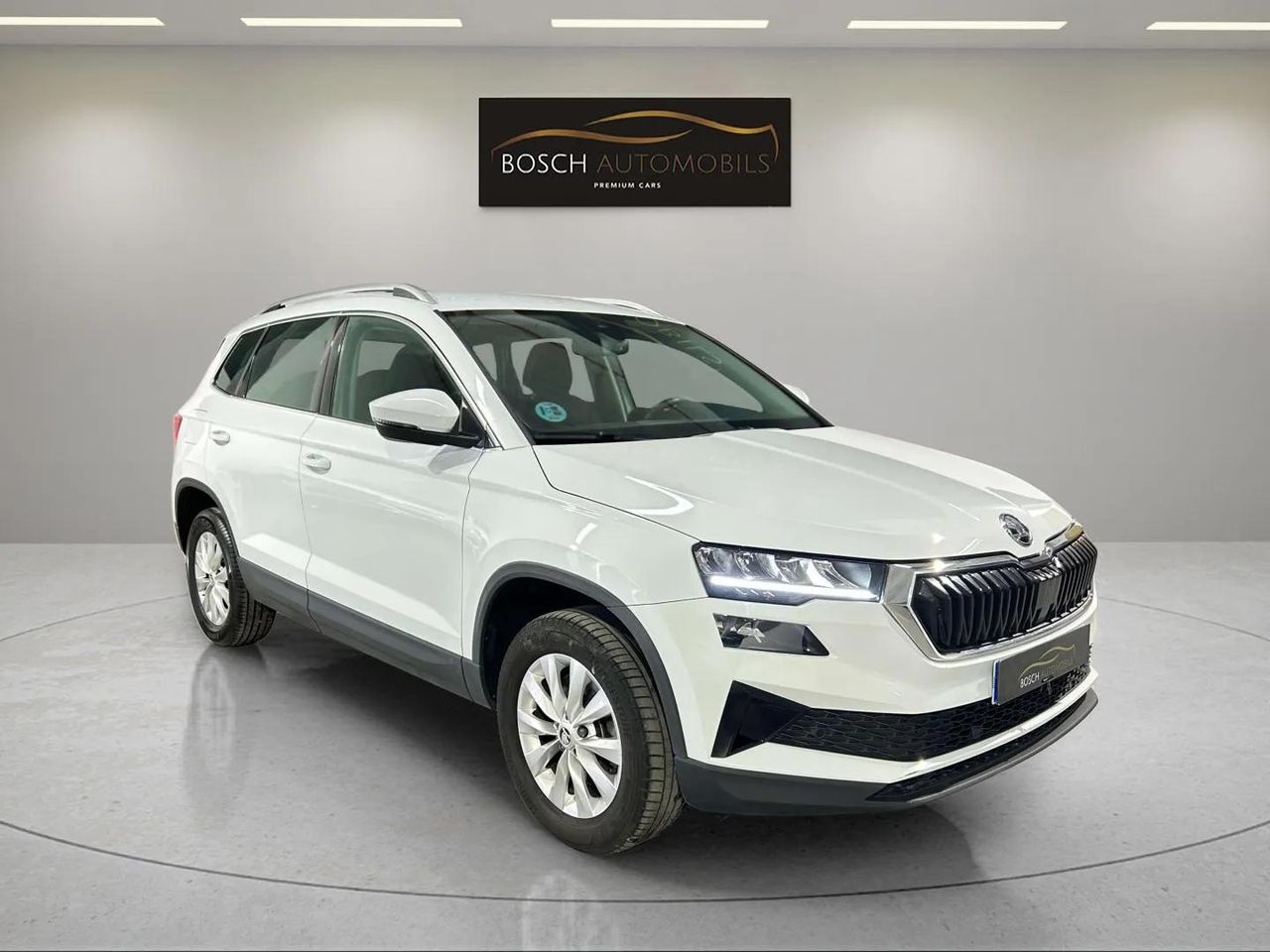 Foto Skoda Karoq 3
