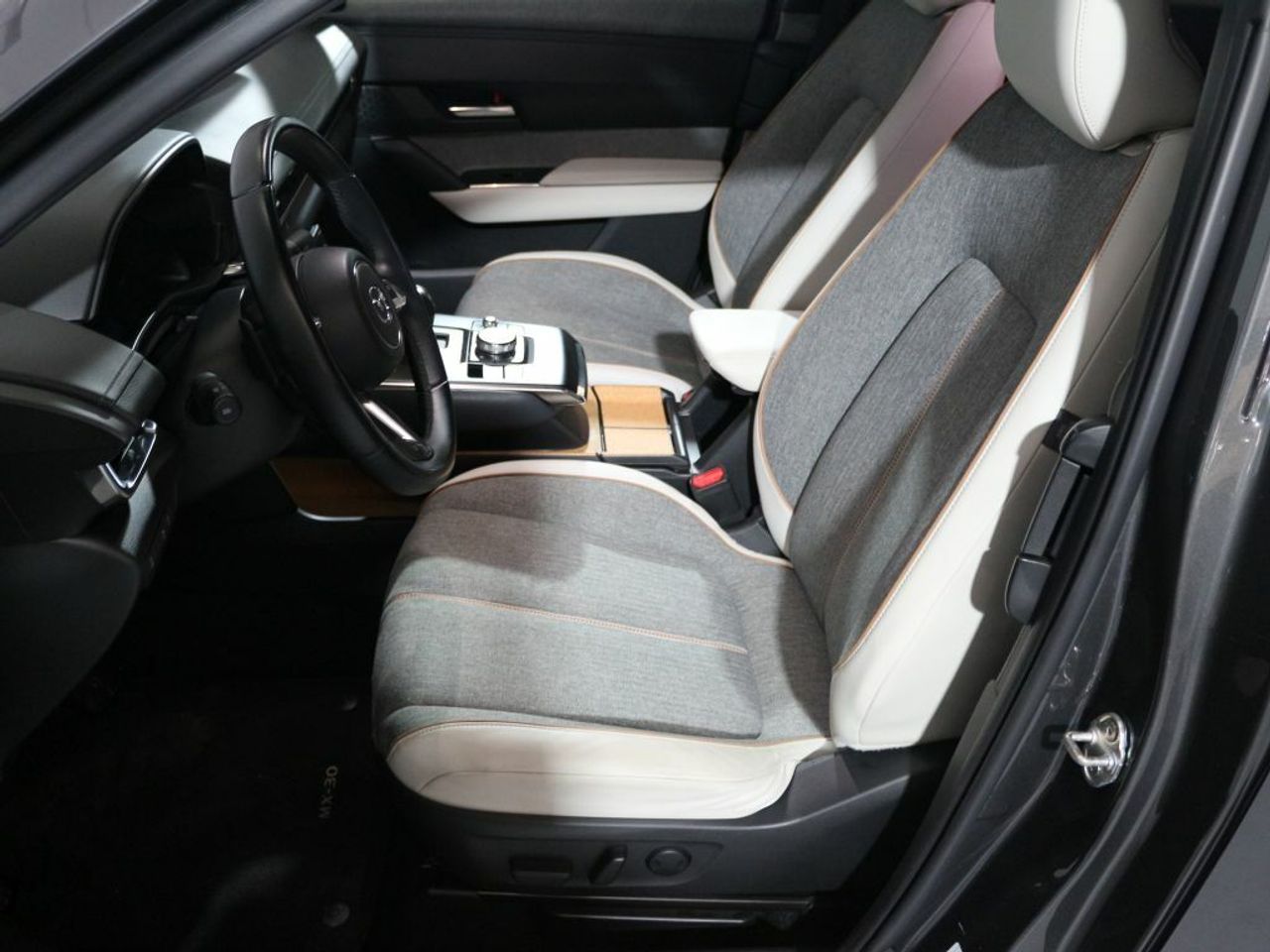 Foto Mazda MX-30 14