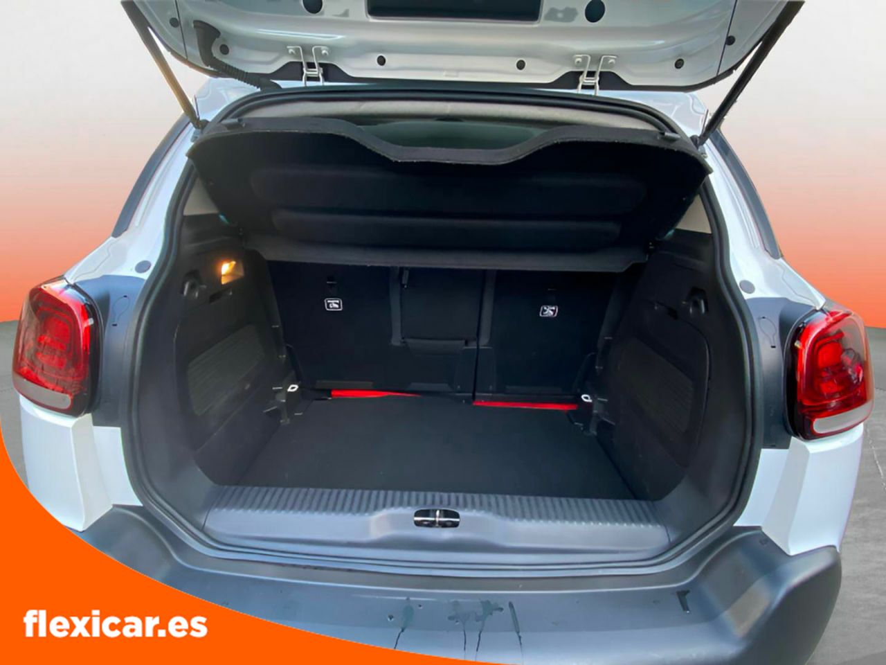 Foto Citroën C3 Aircross 22