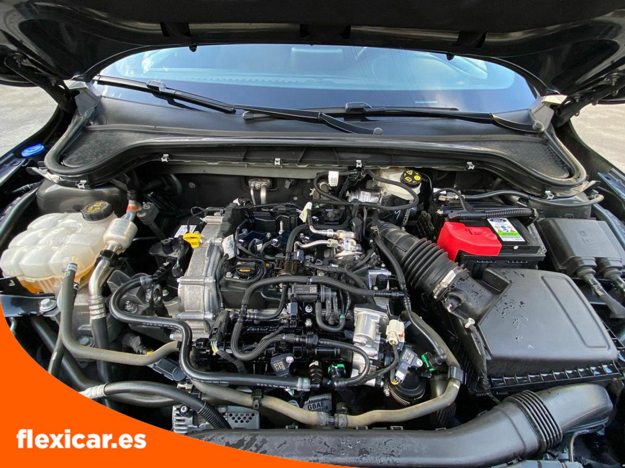 Foto Ford Focus 21