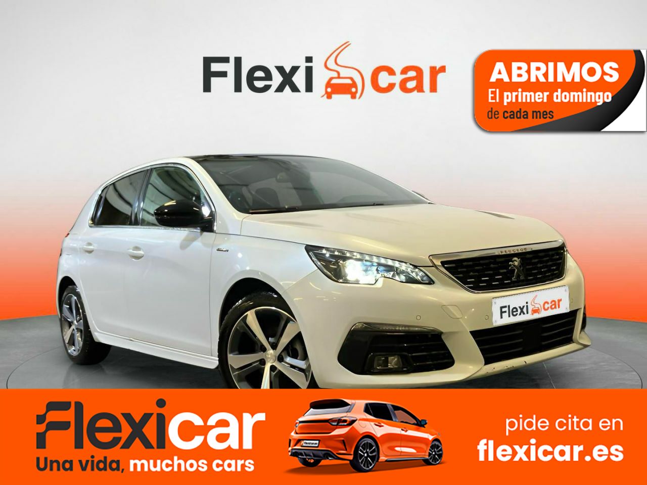 Foto Peugeot 308 1