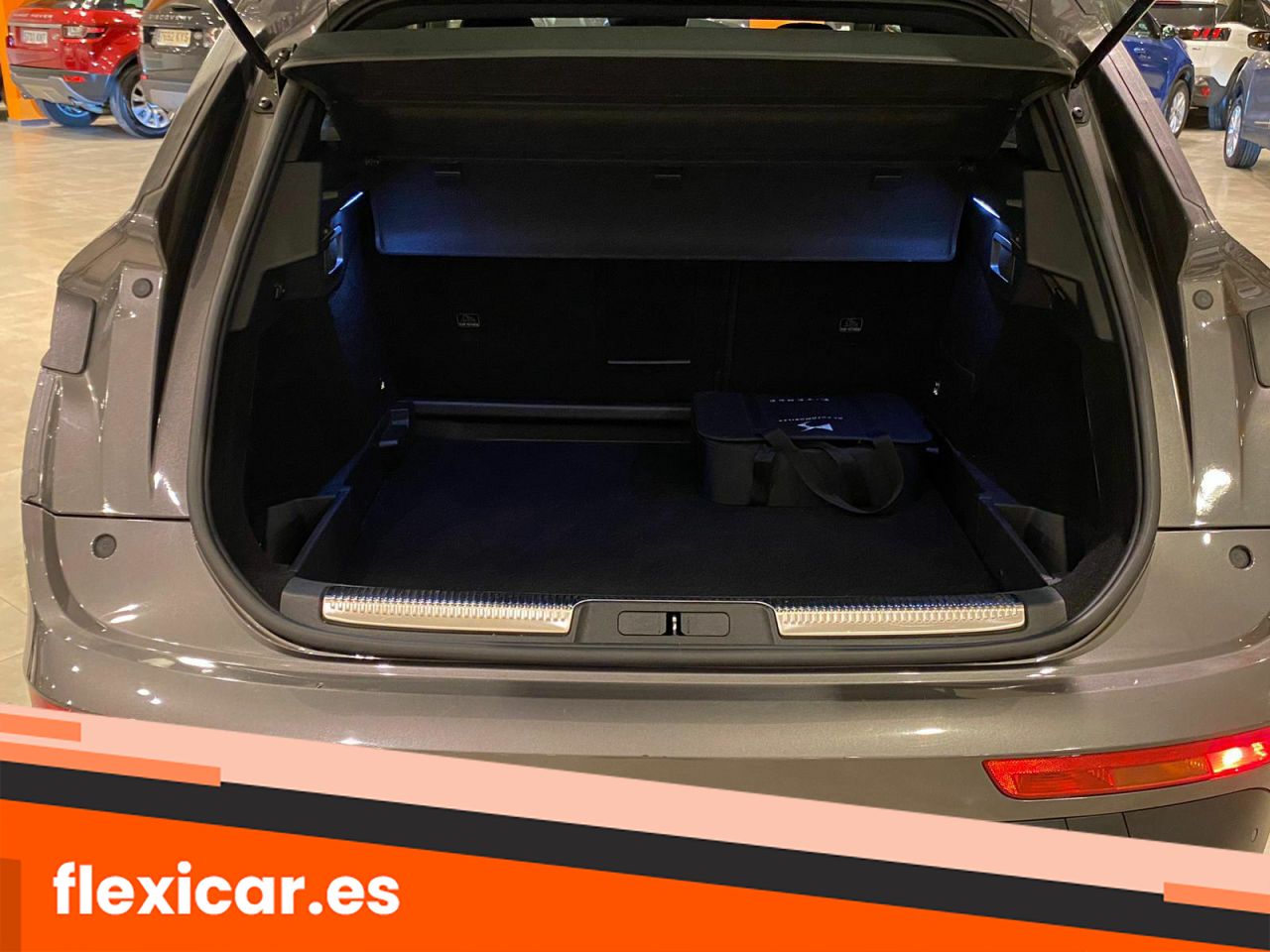 Foto DS Automobiles DS 7 32