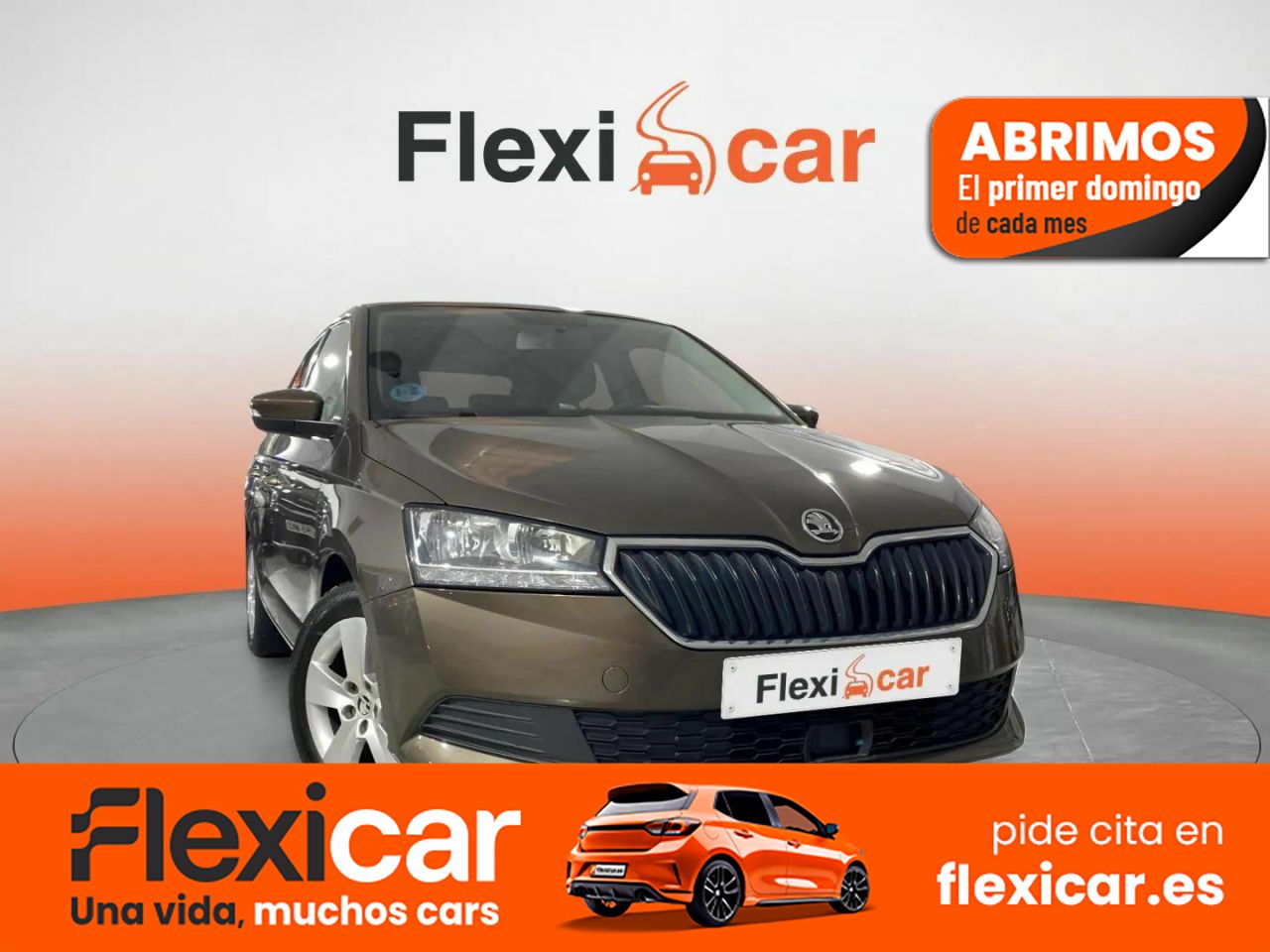 Foto Skoda Fabia 1