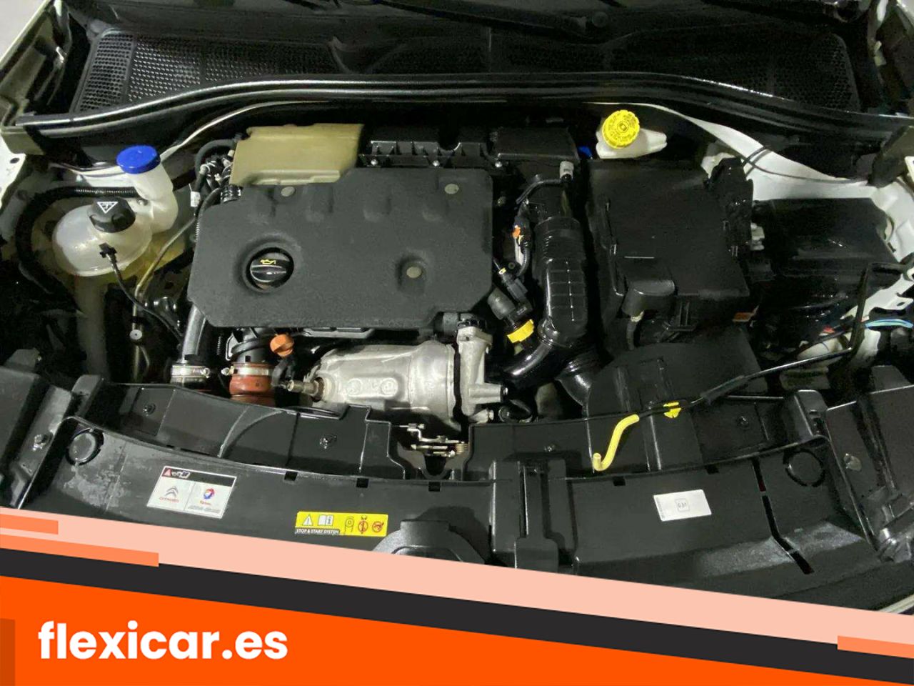 Foto Citroën C4 Cactus 23