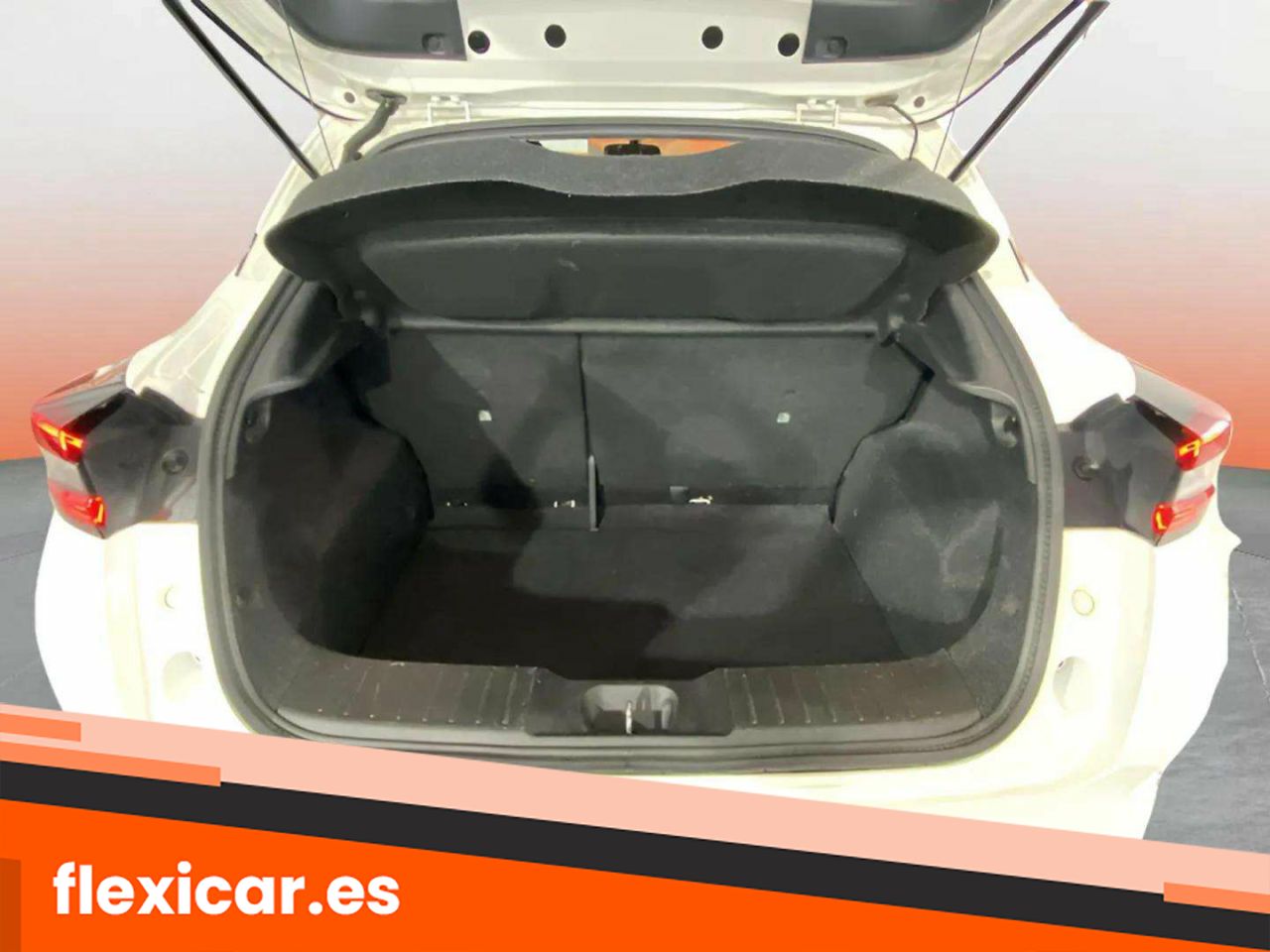 Foto Nissan Juke 17