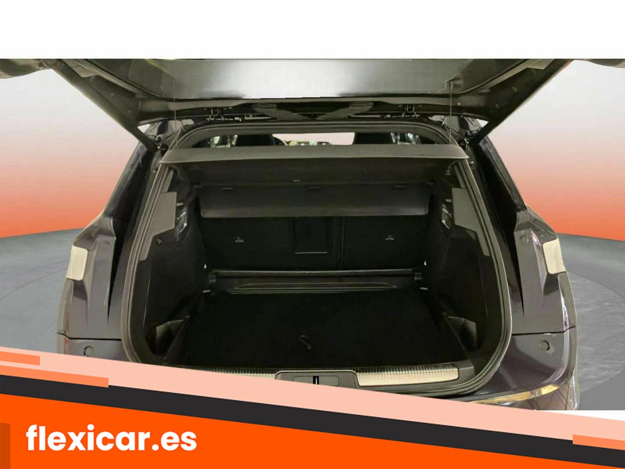 Foto DS Automobiles DS 7 10