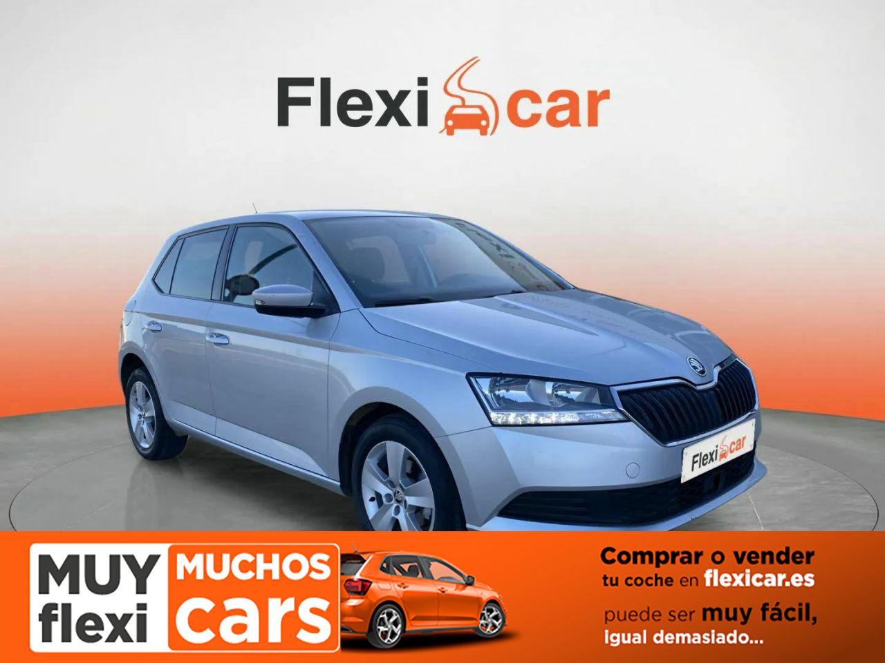Foto Skoda Fabia 1
