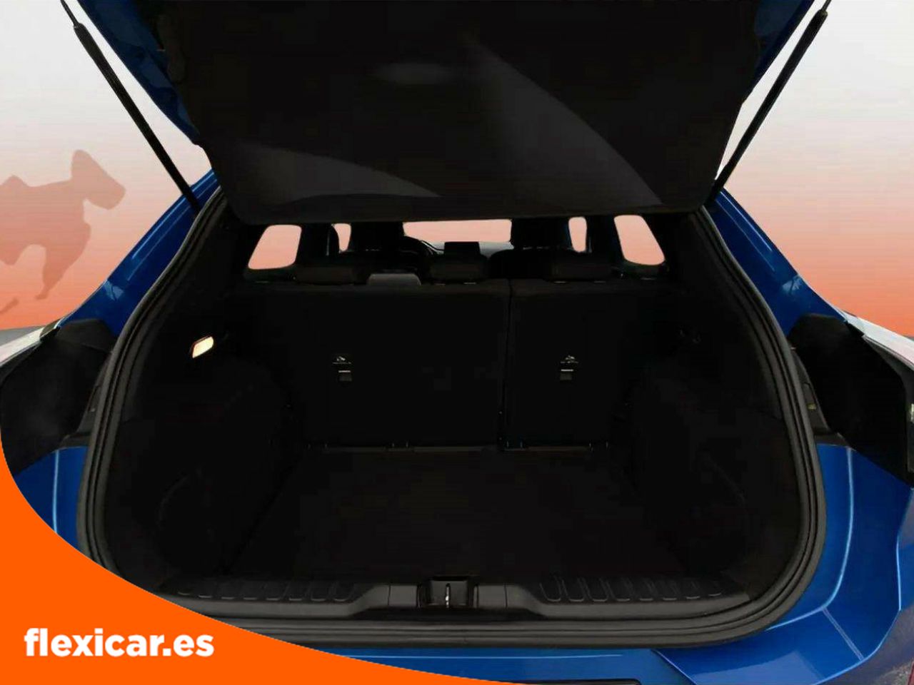 Foto Ford Puma 10