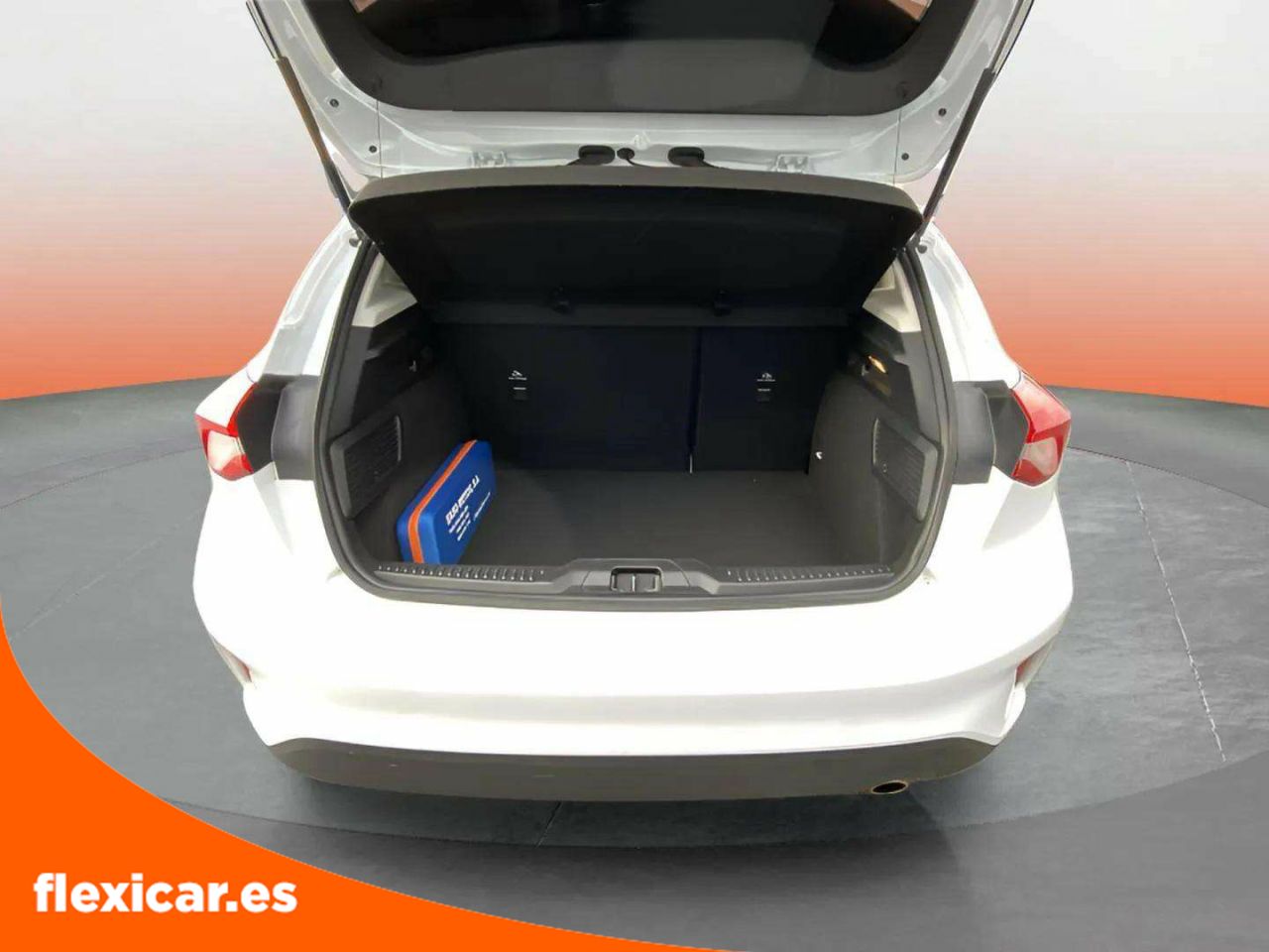 Foto Ford Focus 10