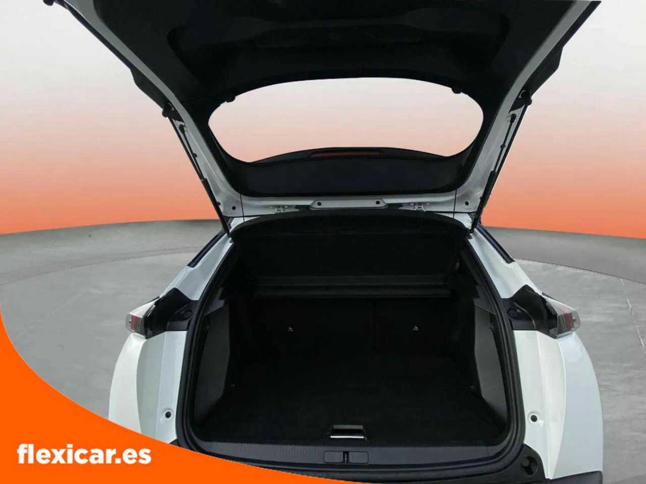 Foto Peugeot 2008 10