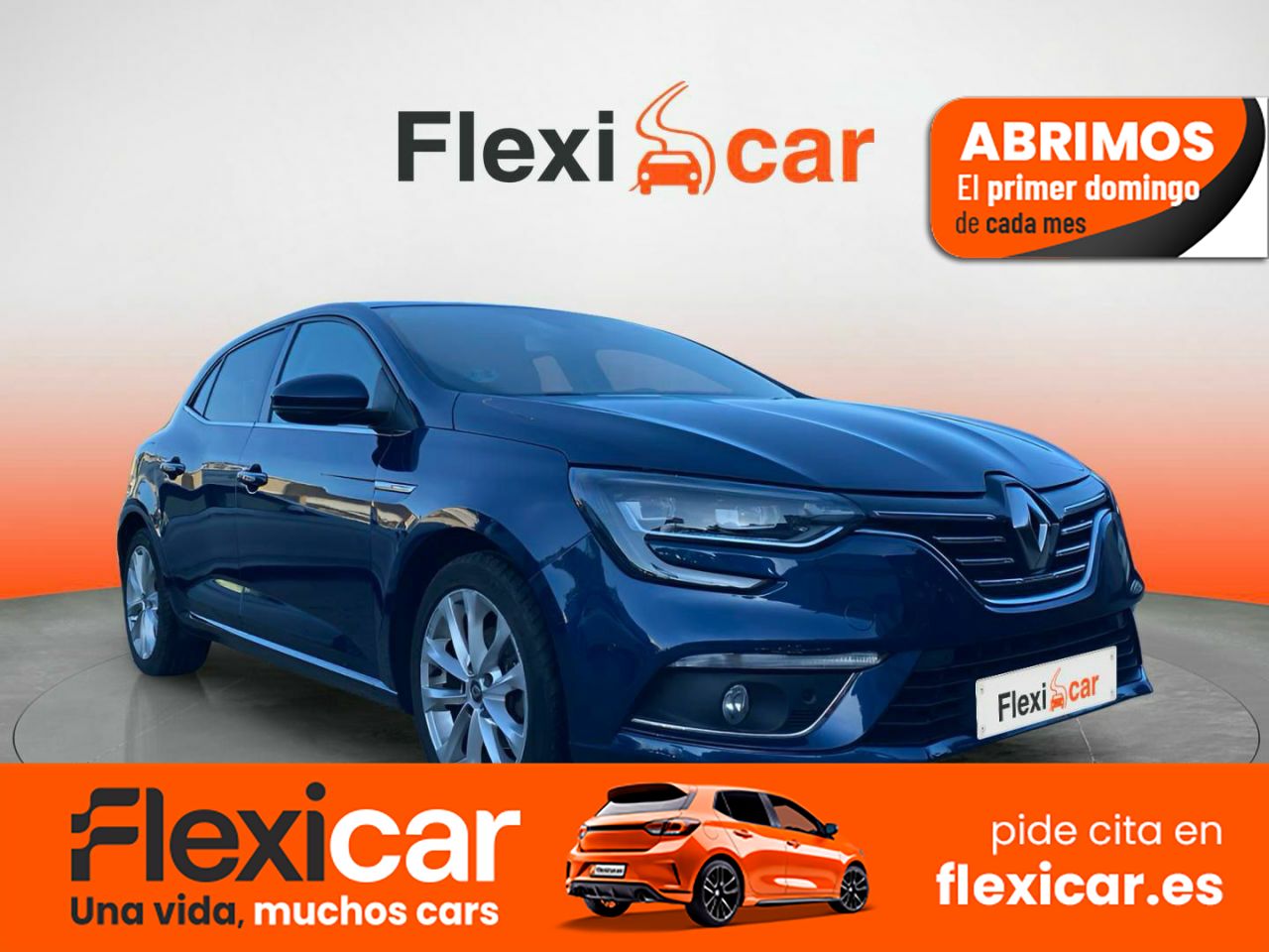 Foto Renault Mégane 1