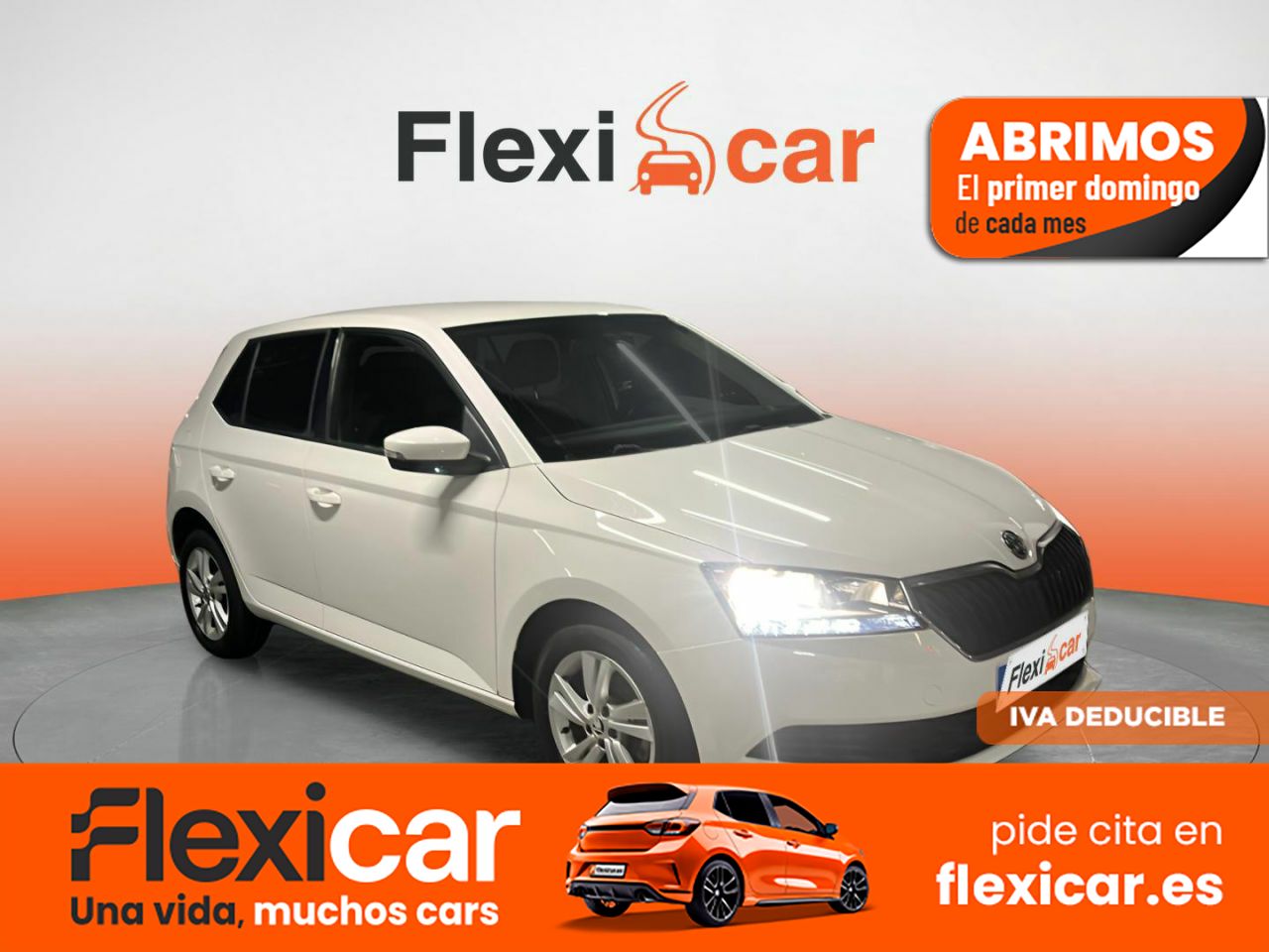 Foto Skoda Fabia 1