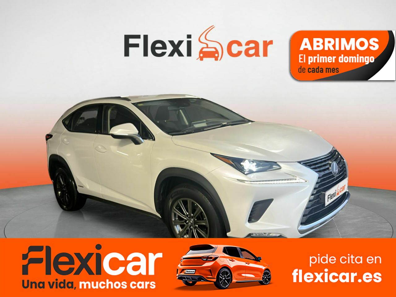 Foto Lexus NX 1