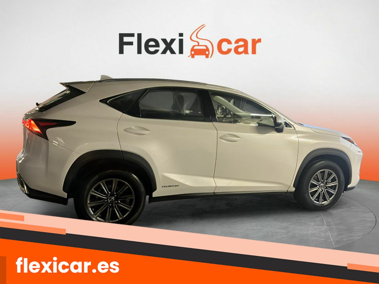 Foto Lexus NX 10