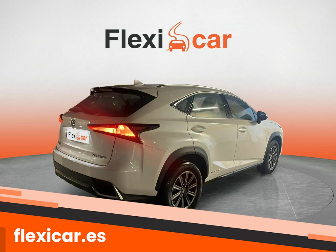 Foto Lexus NX 13
