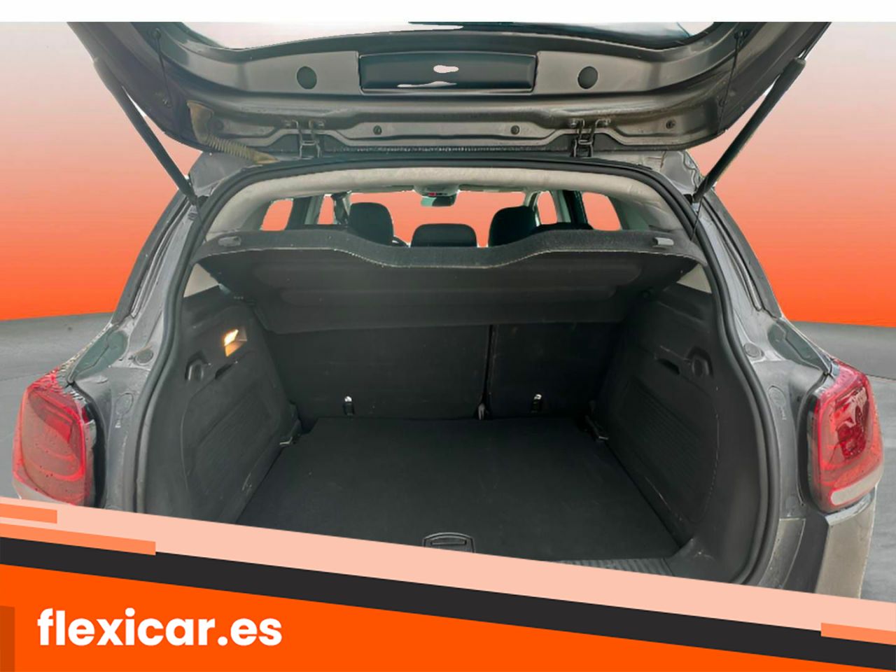 Foto Citroën C3 Aircross 8