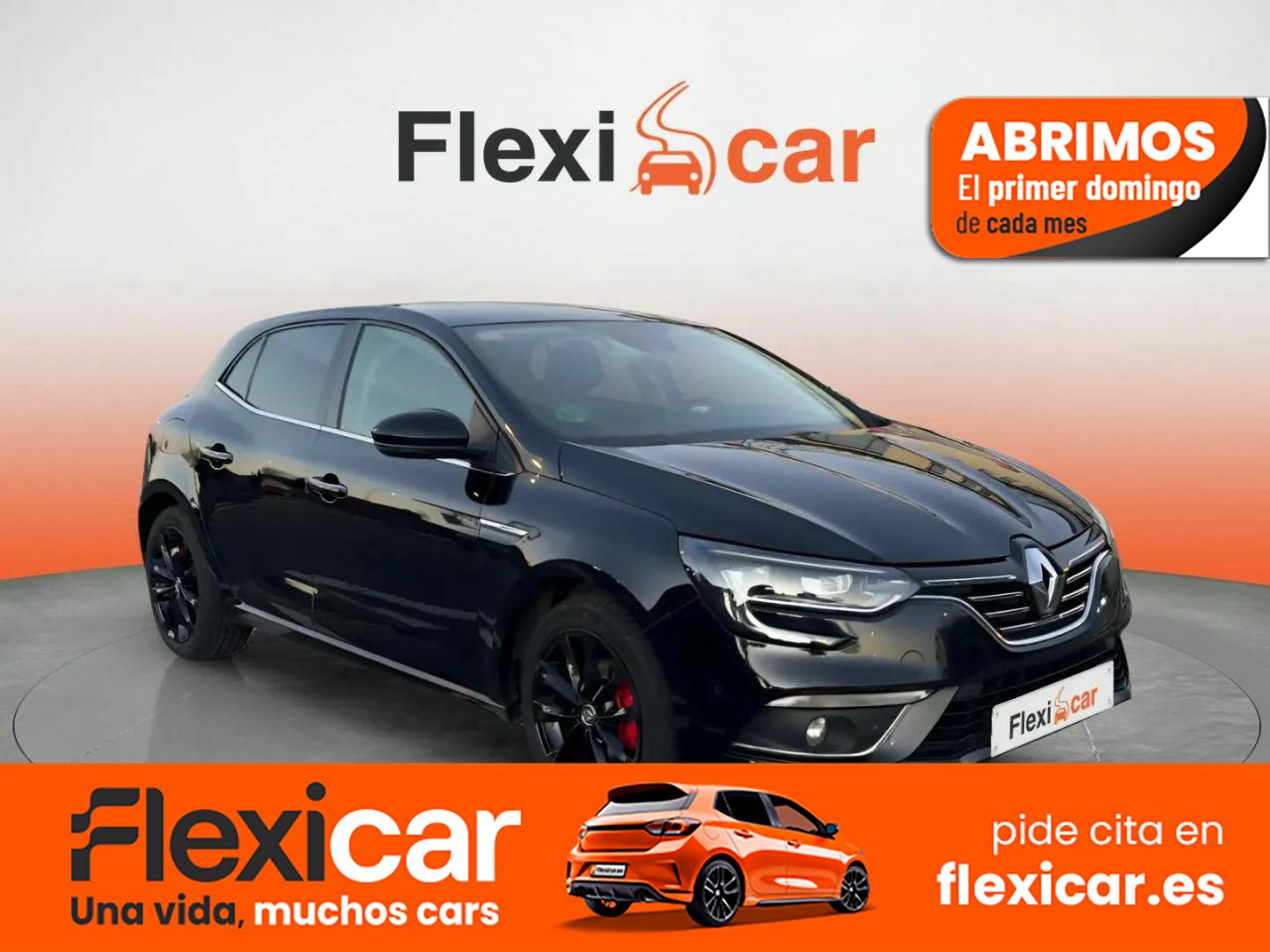 Foto Renault Mégane 1