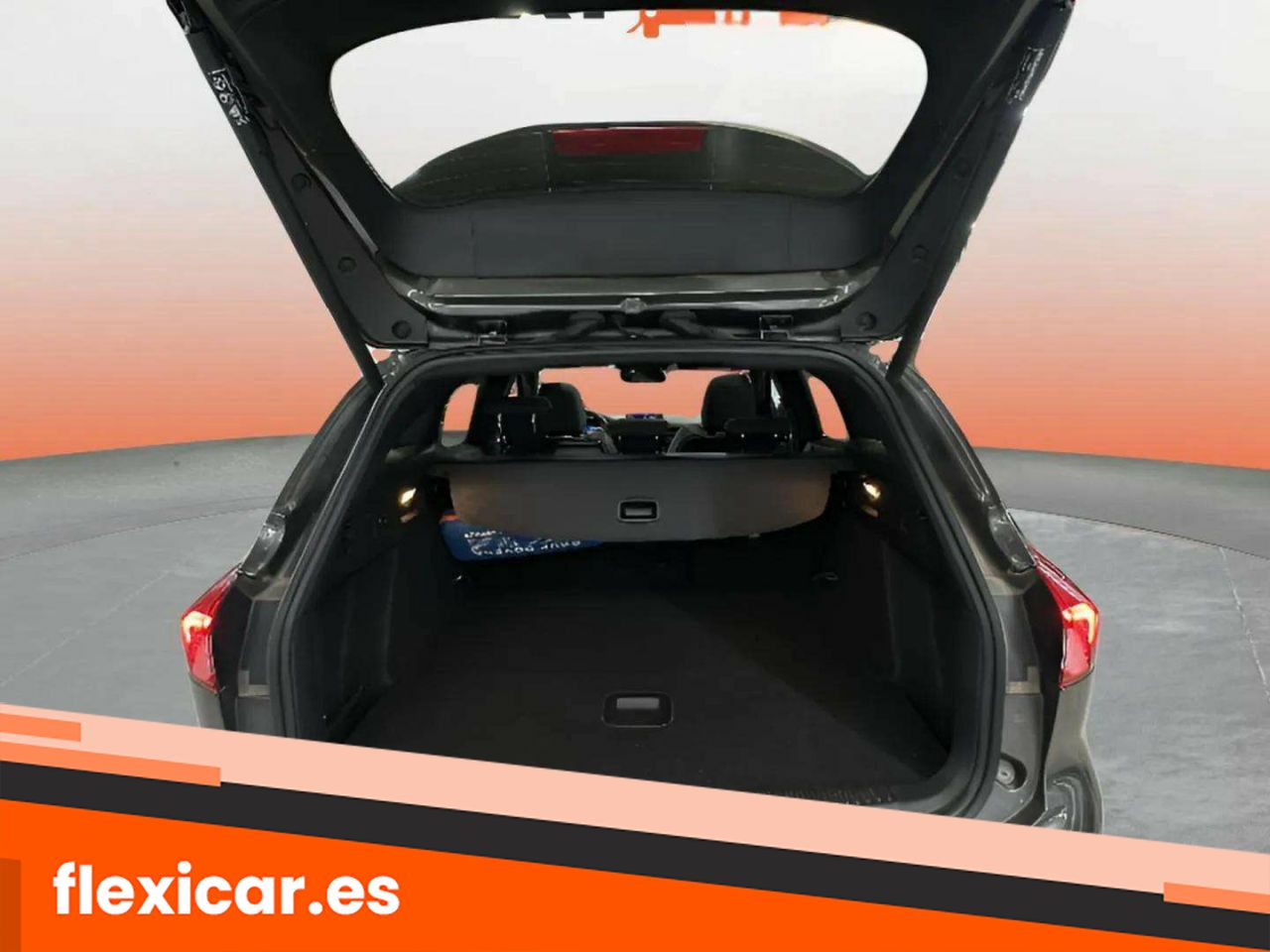 Foto Ford Focus 17