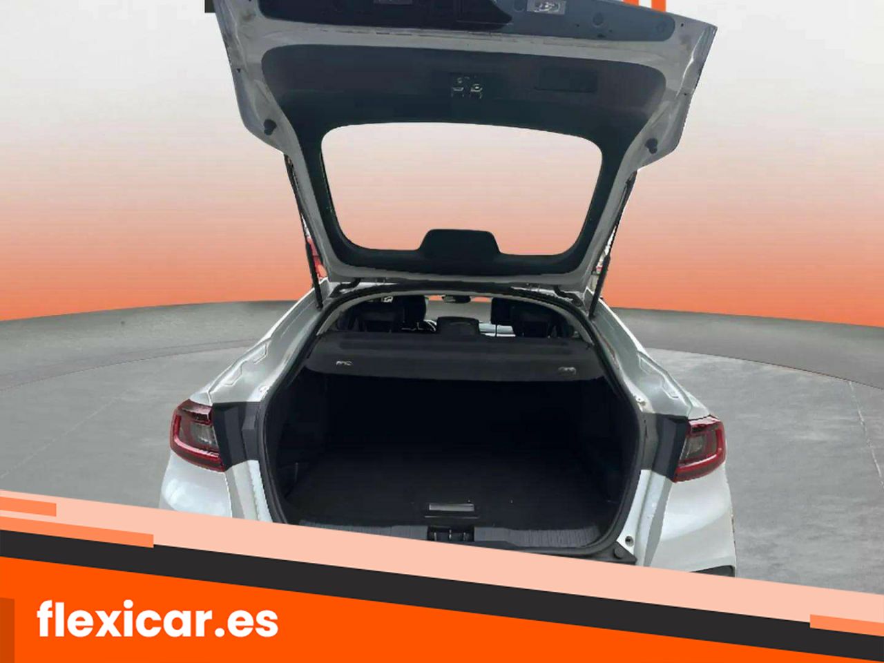 Foto Renault Arkana 16