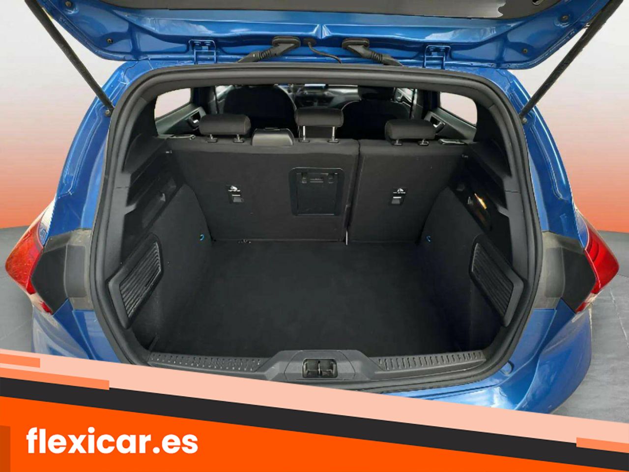 Foto Ford Focus 14