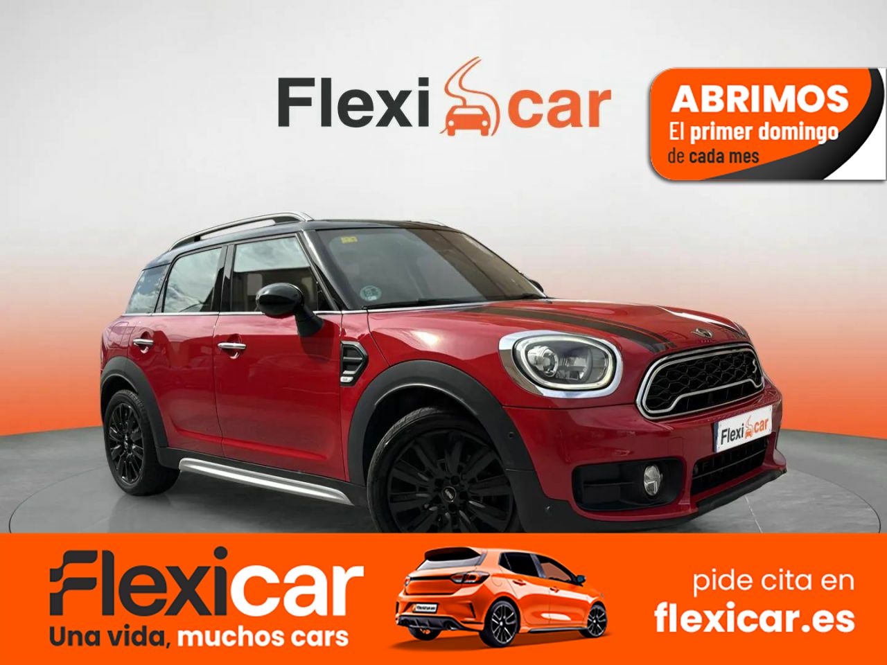 Foto Mini Countryman 1