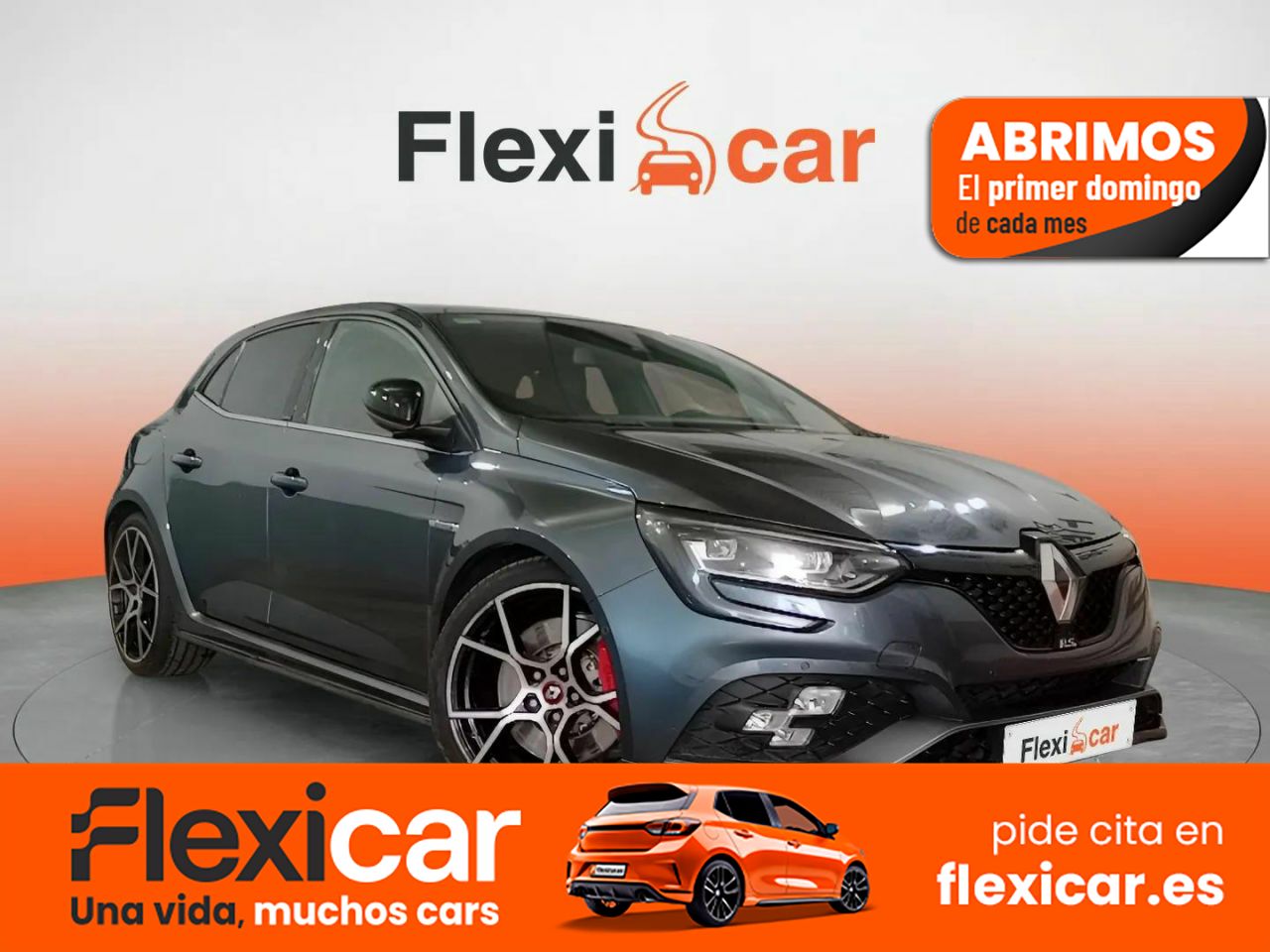 Foto Renault Mégane 1