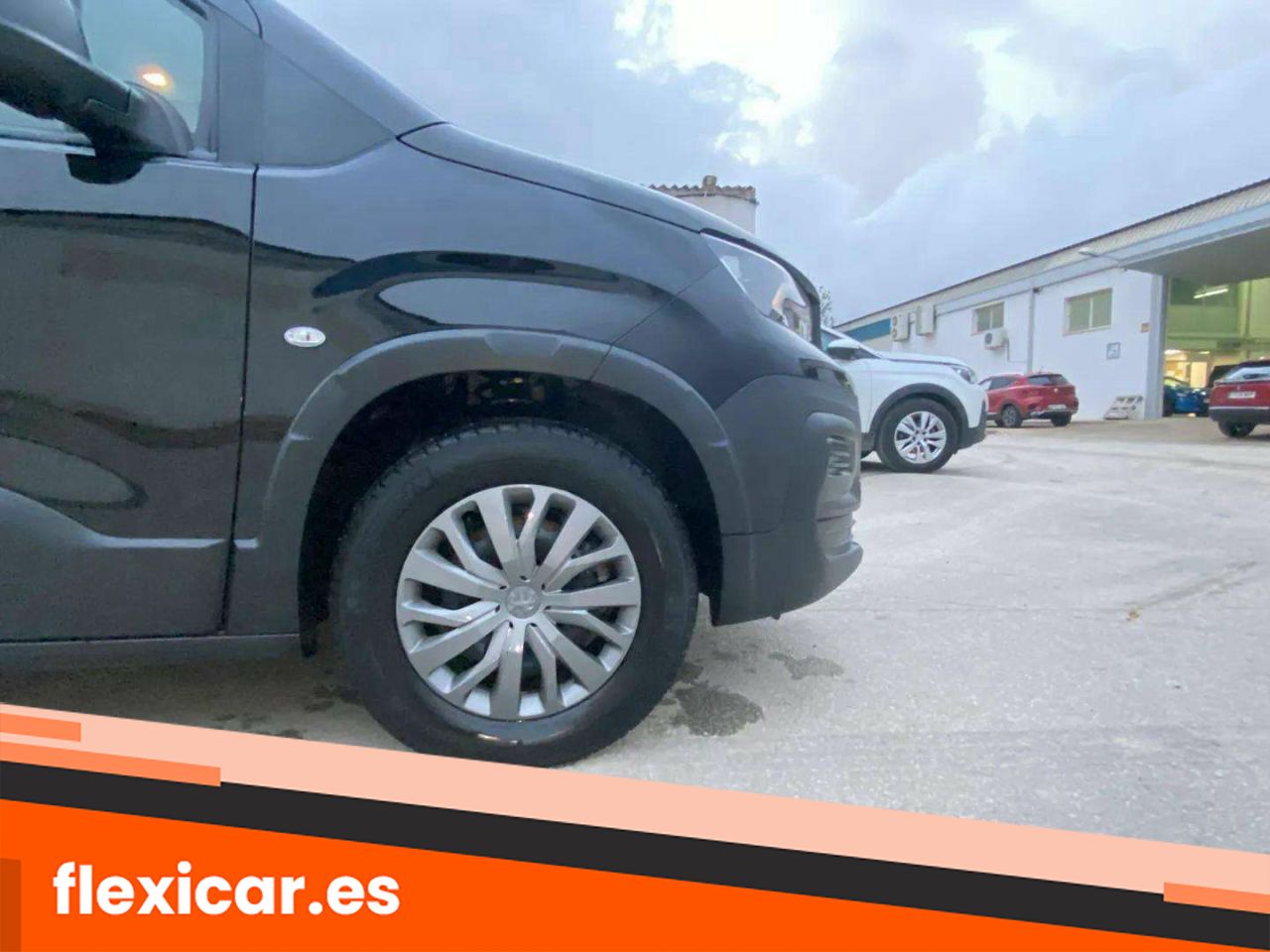 Foto Peugeot Rifter 18