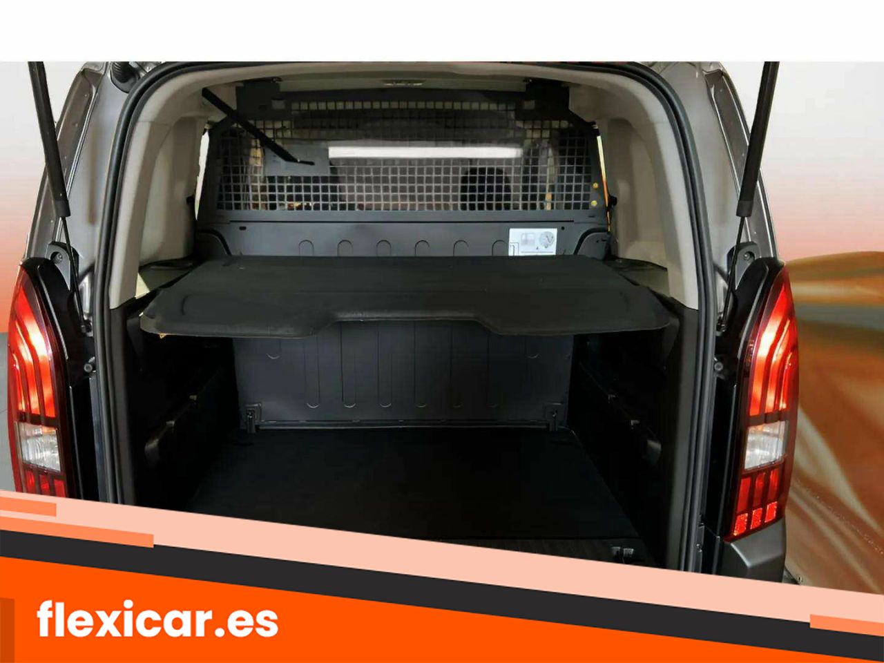Foto Peugeot Rifter 10