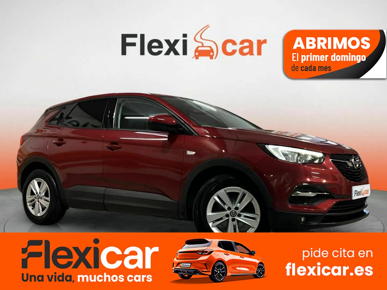 Foto Opel Grandland X 1