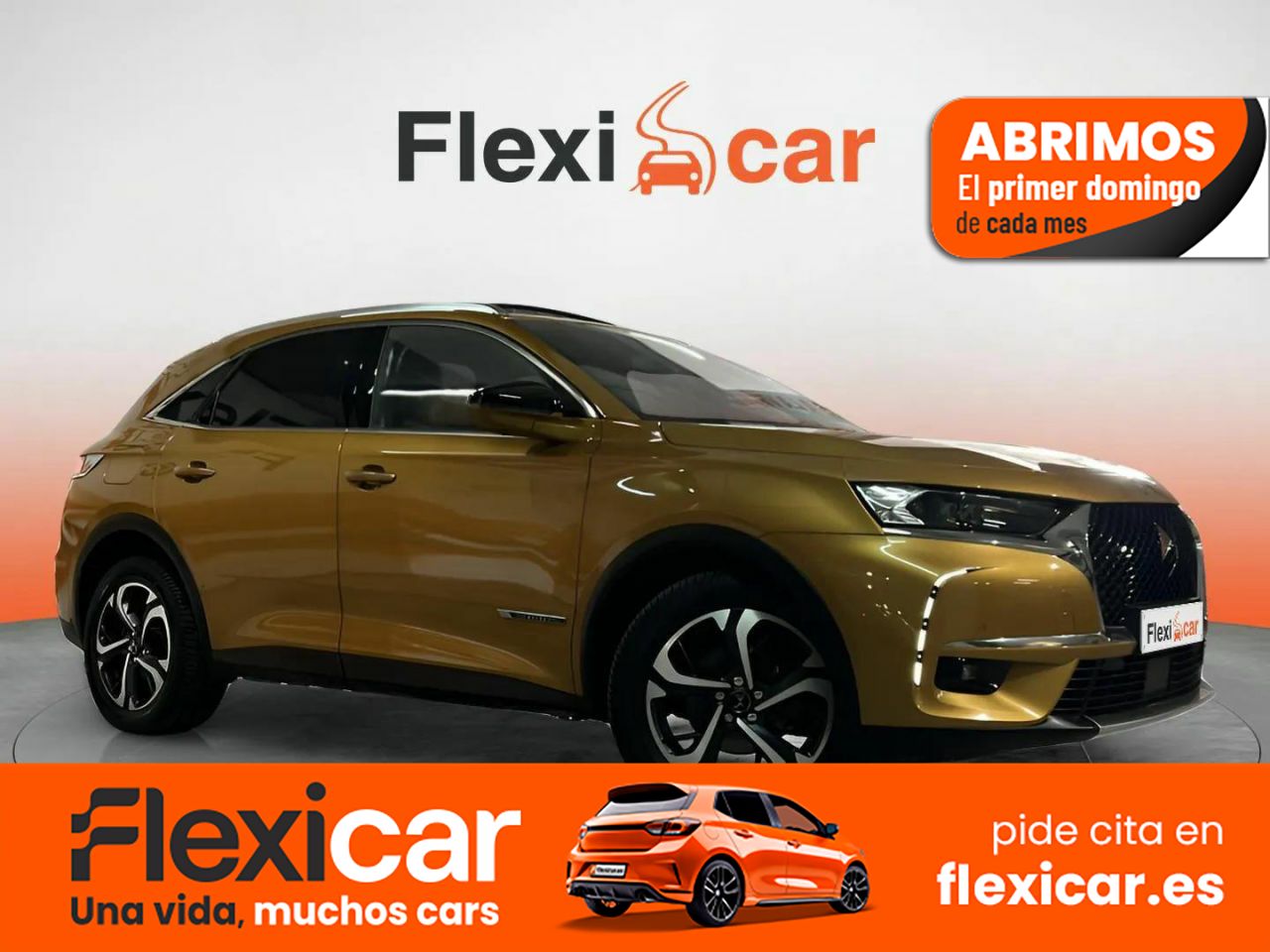 Foto DS Automobiles DS 7 1