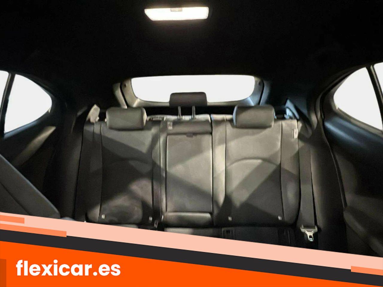 Foto Lexus UX 14